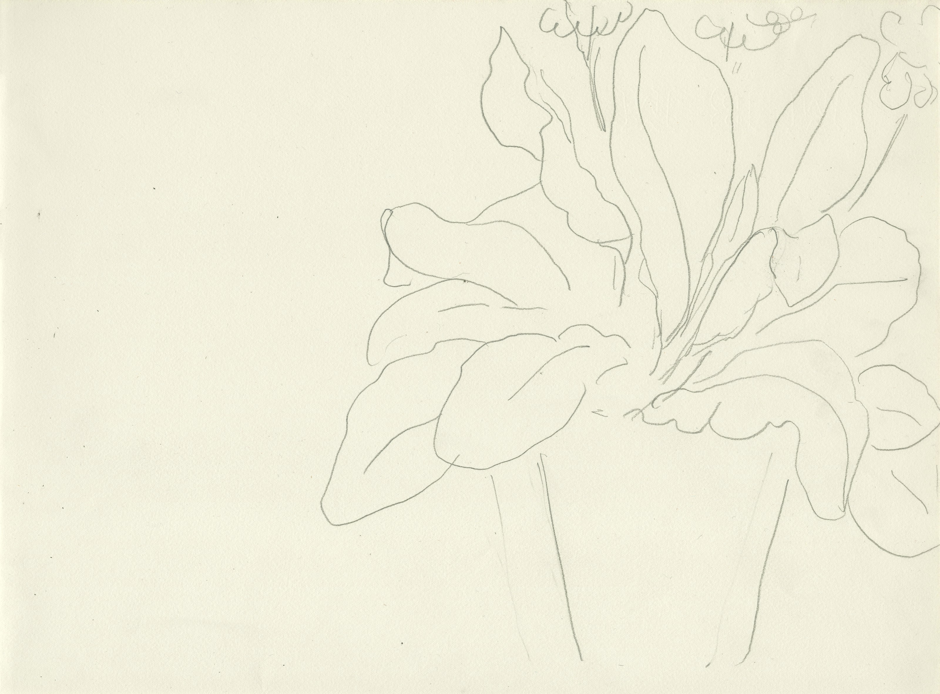 Pot de fleurs