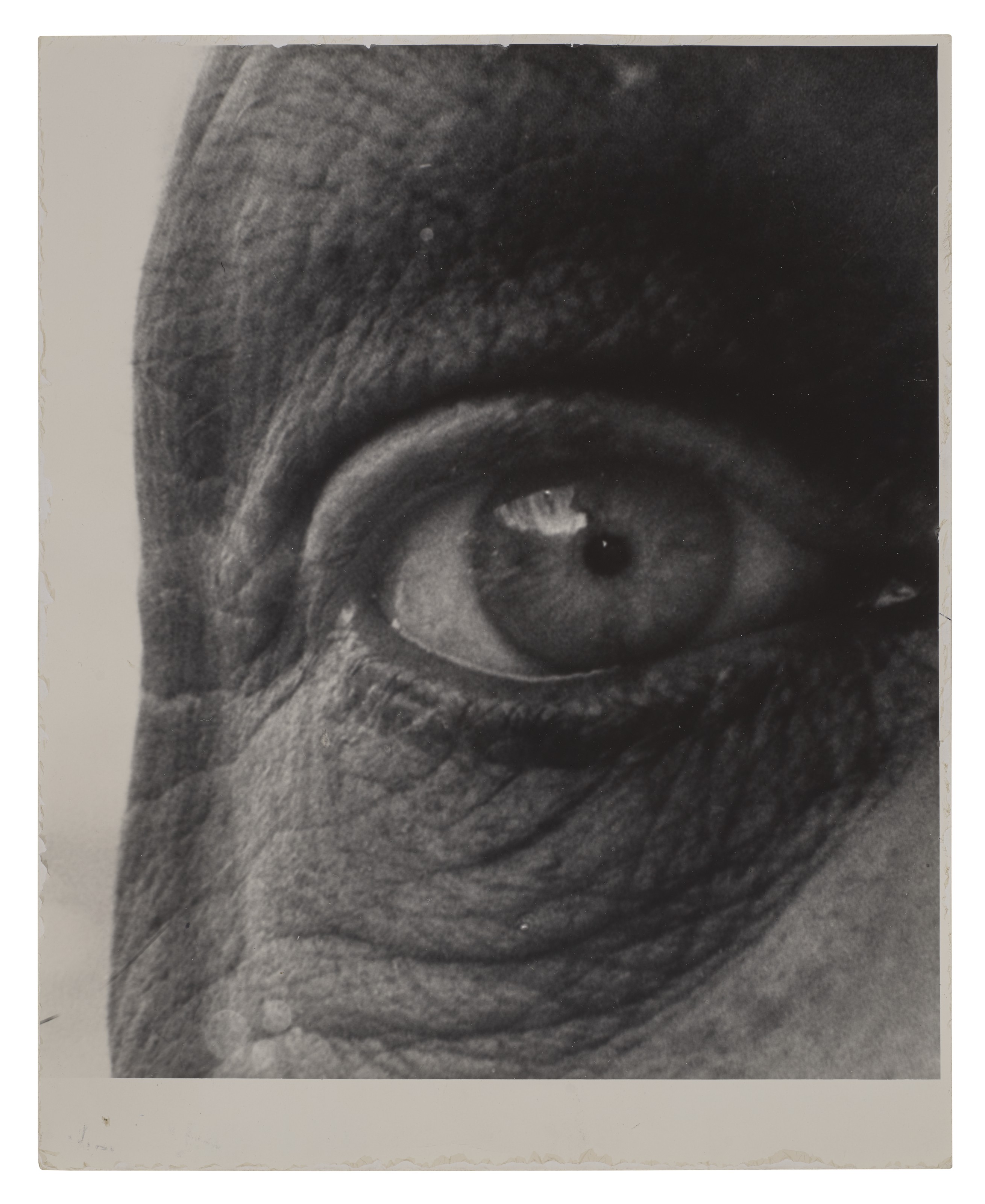 IRVING PENN (1917–2009), Self-Portrait, New York, 1993