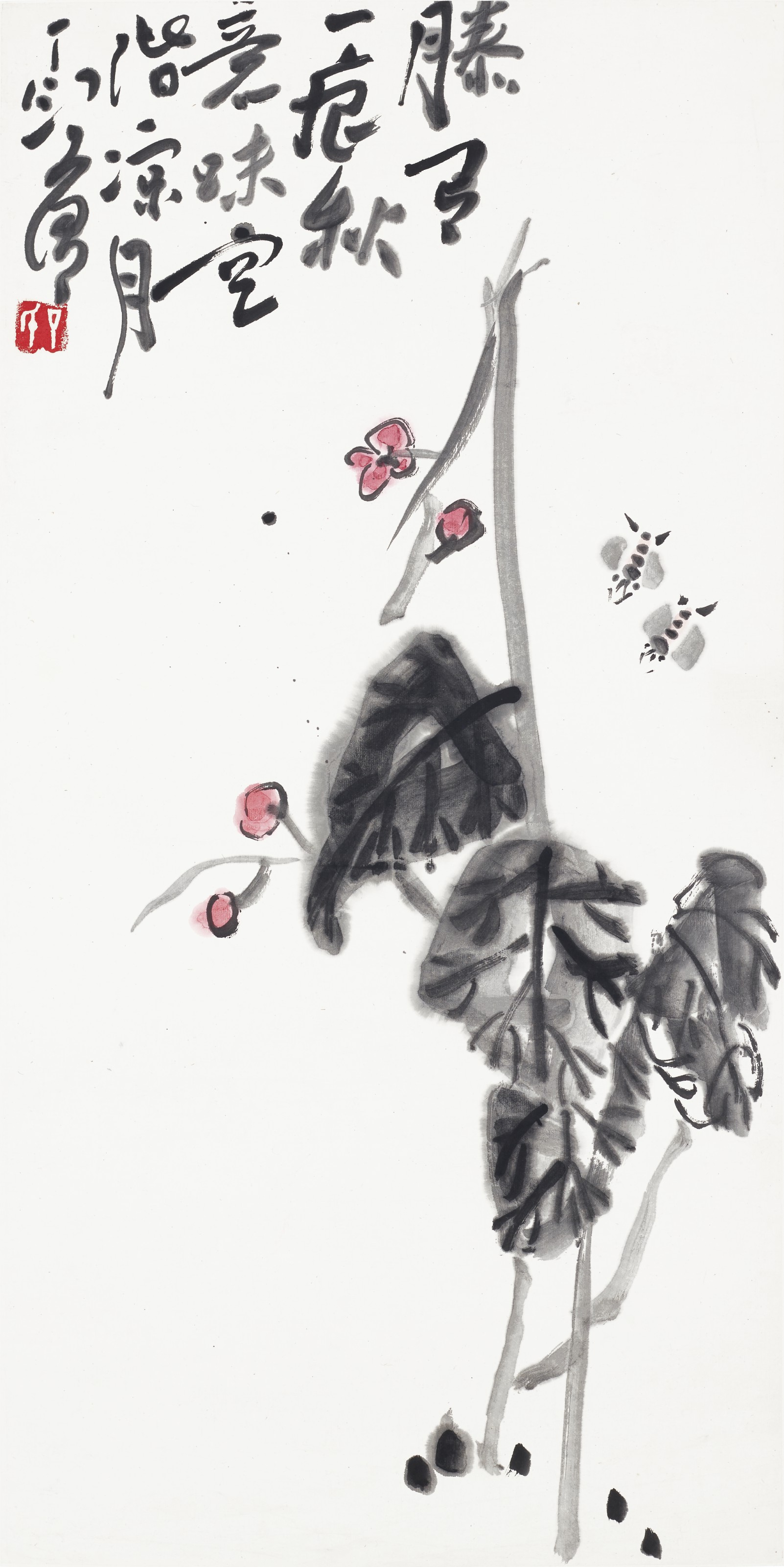 Catalog image of Begonia and Bees