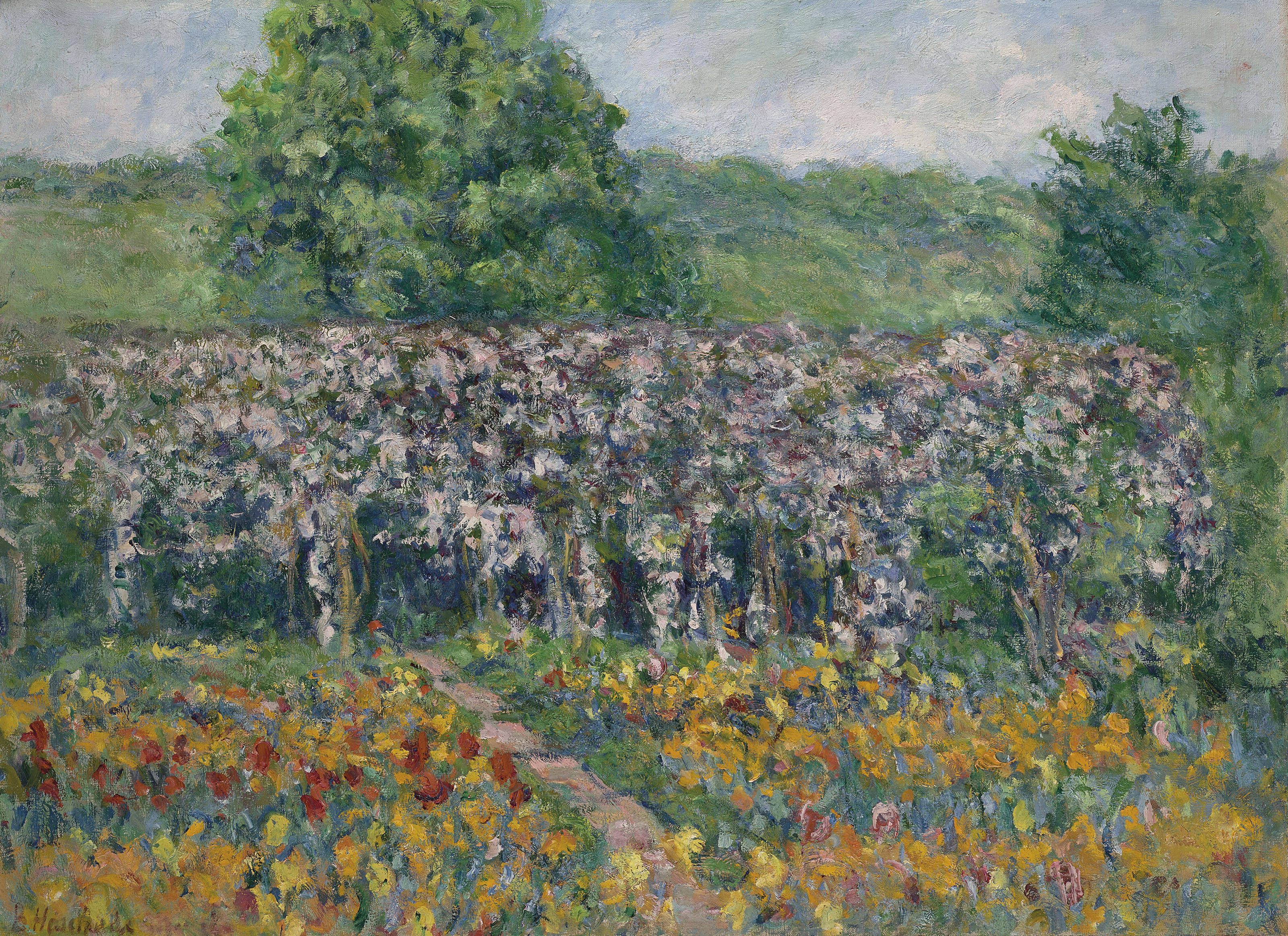 BLANCHE LE PONT JAPONAIS, JARDIN DE CLAUDE