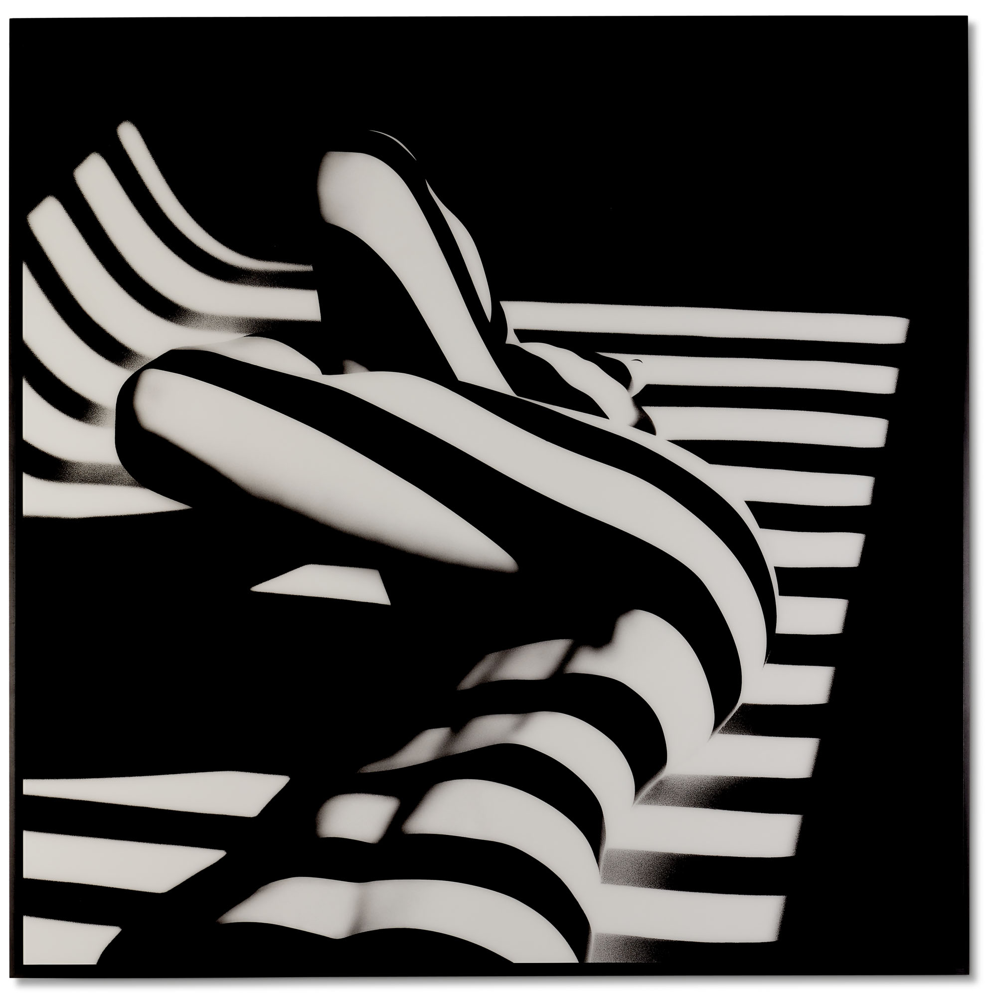 GIACOBETTI 写真集 FRANCIS GIACOBETTI (NÉ EN 1939), Zebra 14, 2000 | Christie's