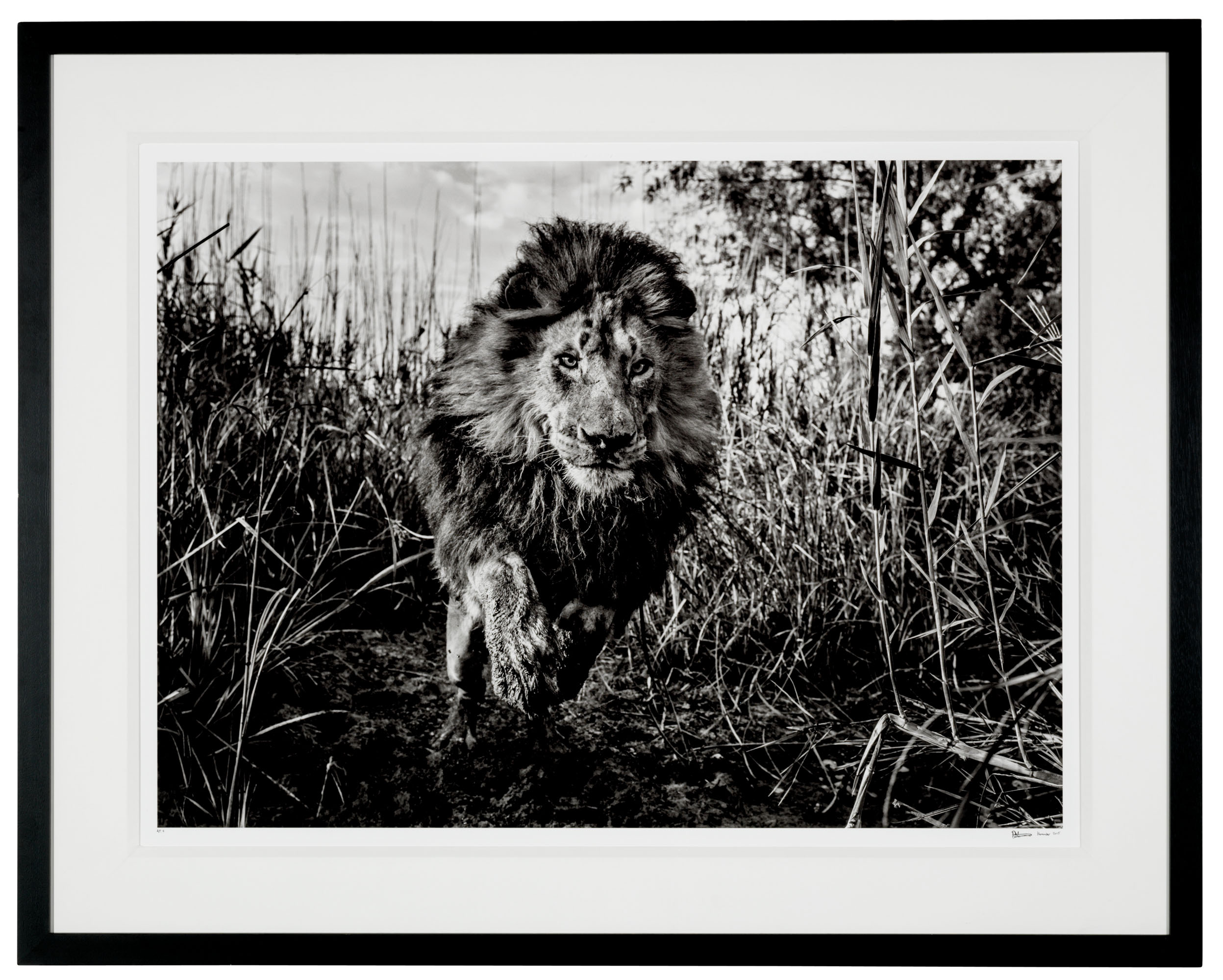 DAVID YARROW (NÉ EN 1966) , Gold, Africa, 2015 Christie's