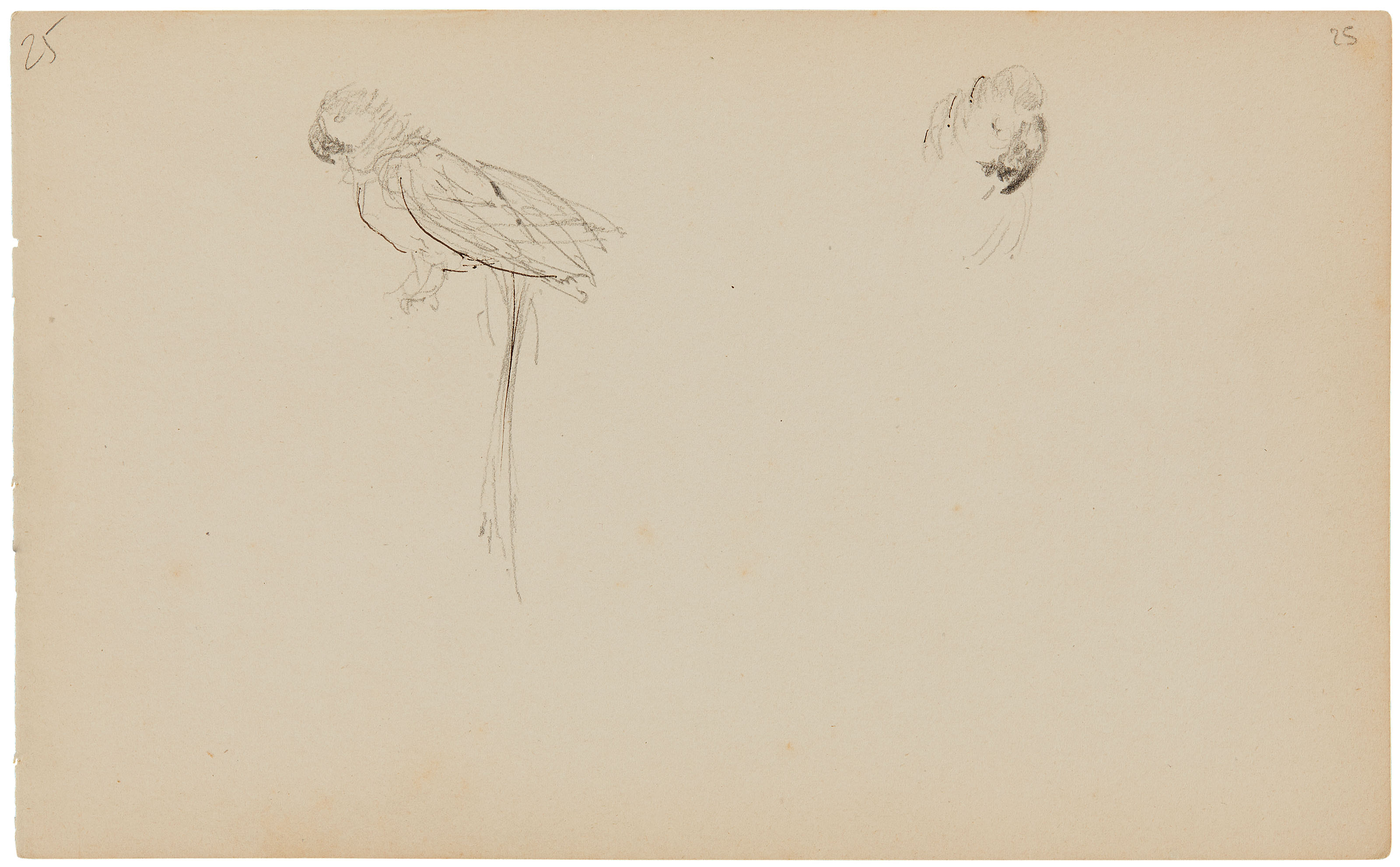 Henri de Toulouse-Lautrec (1864-1901), Perroquets (recto); Marins jouant au  billard (verso) | Christie's