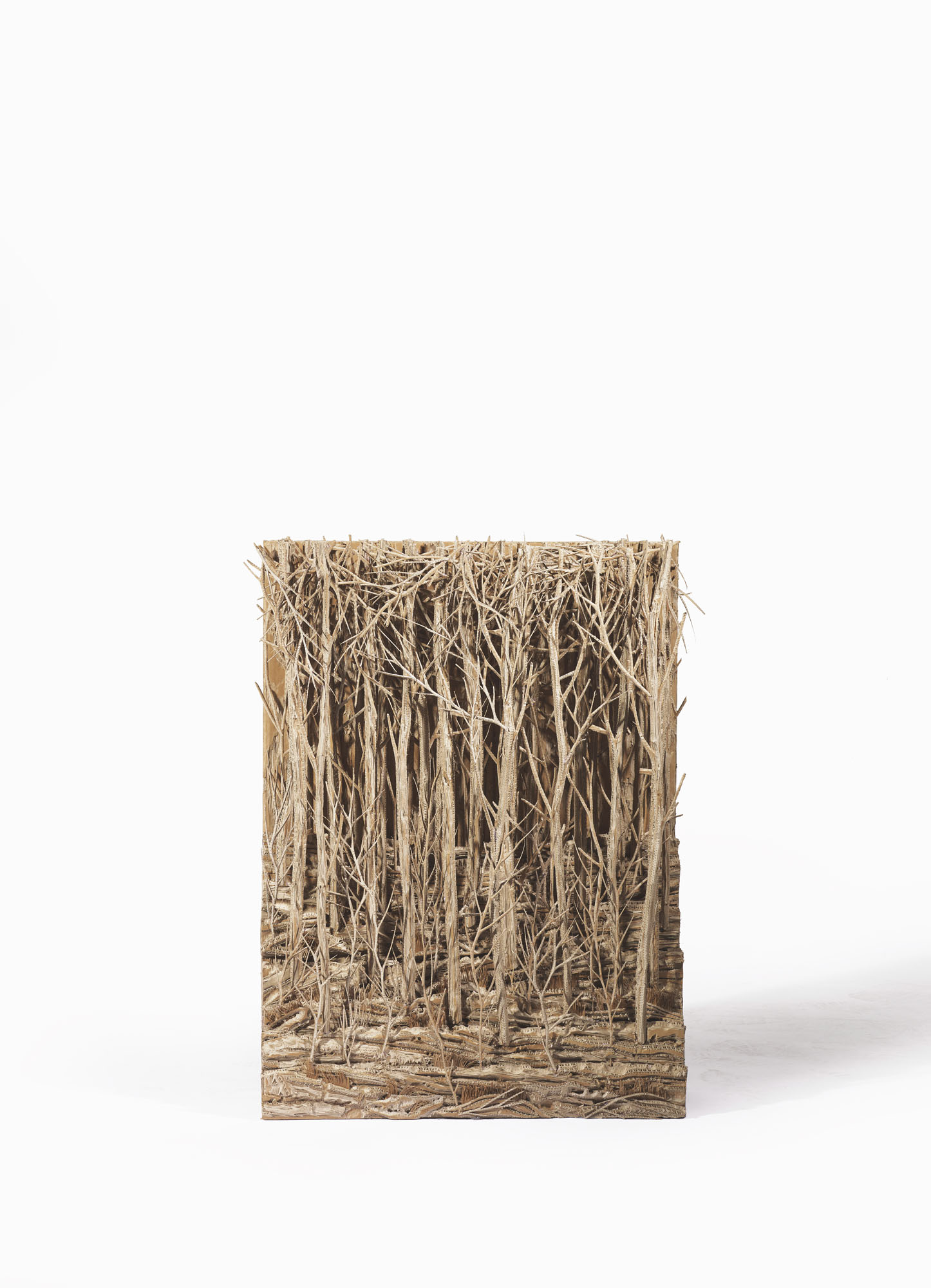 Catalog image of Forêt