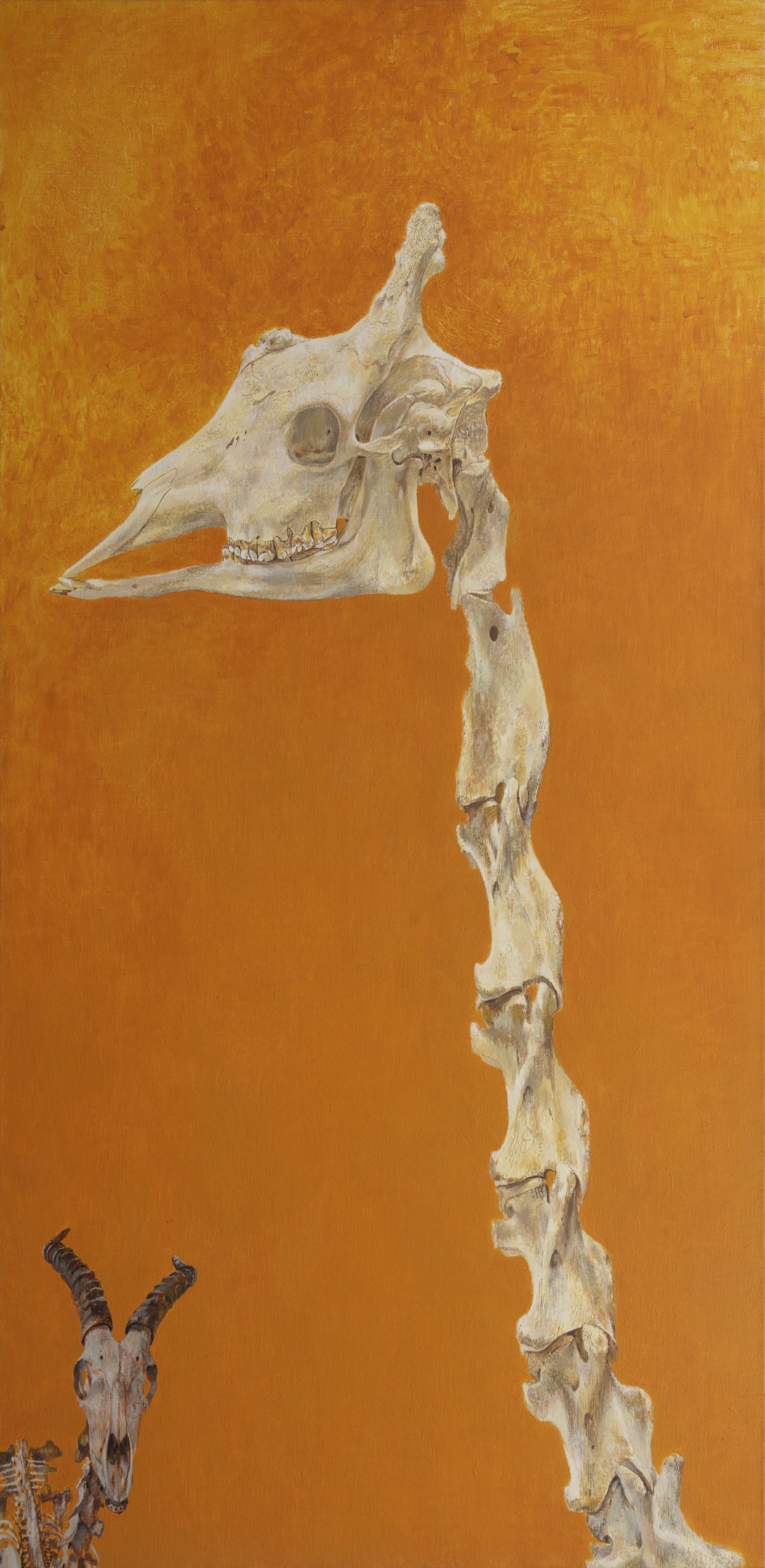 Erik Andriesse (1957-1993), Giraf en springbok | Christie’s