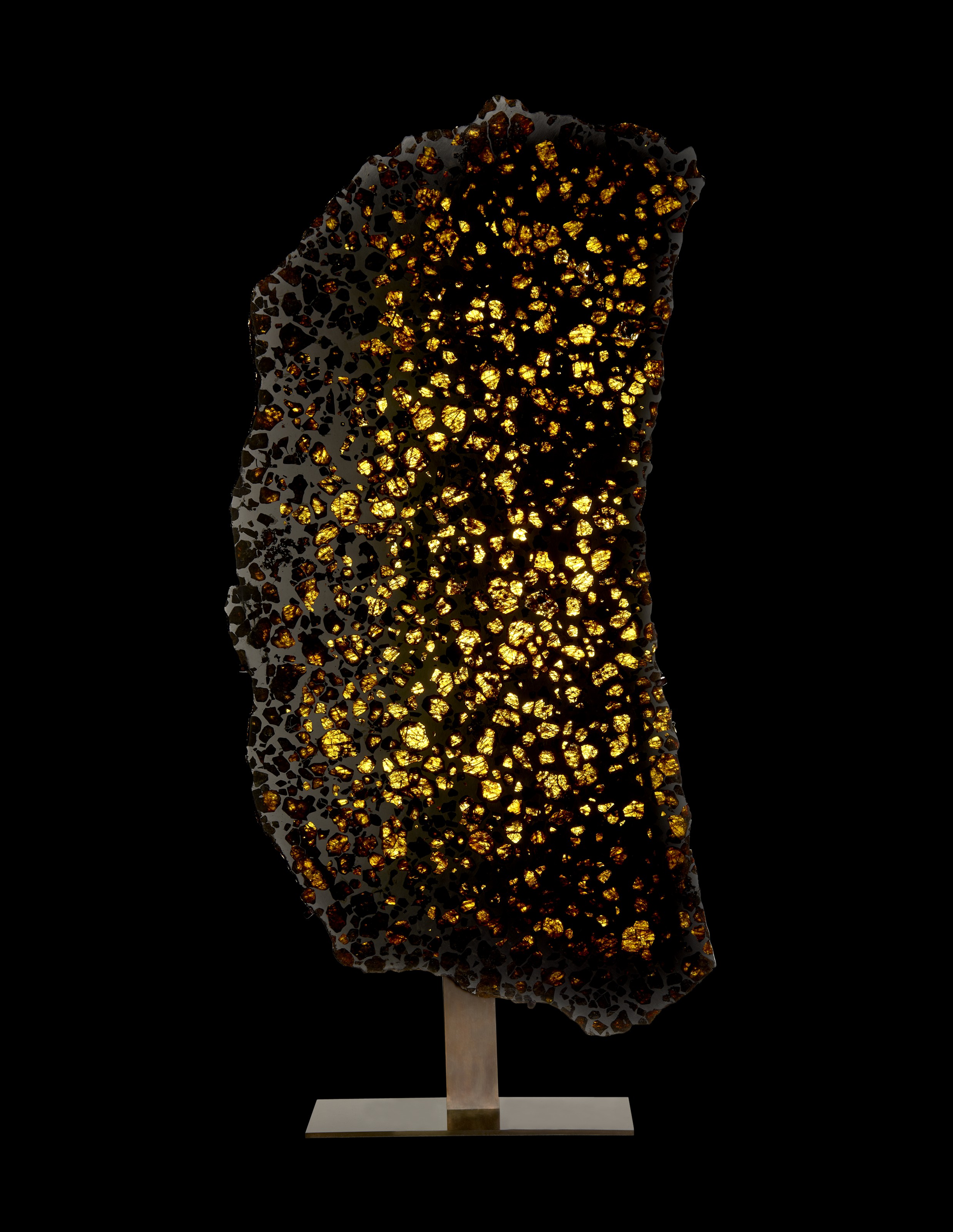 A MONOLITHIC SLICE OF THE FUKANG METEORITE PALLASITE PALFUKANG