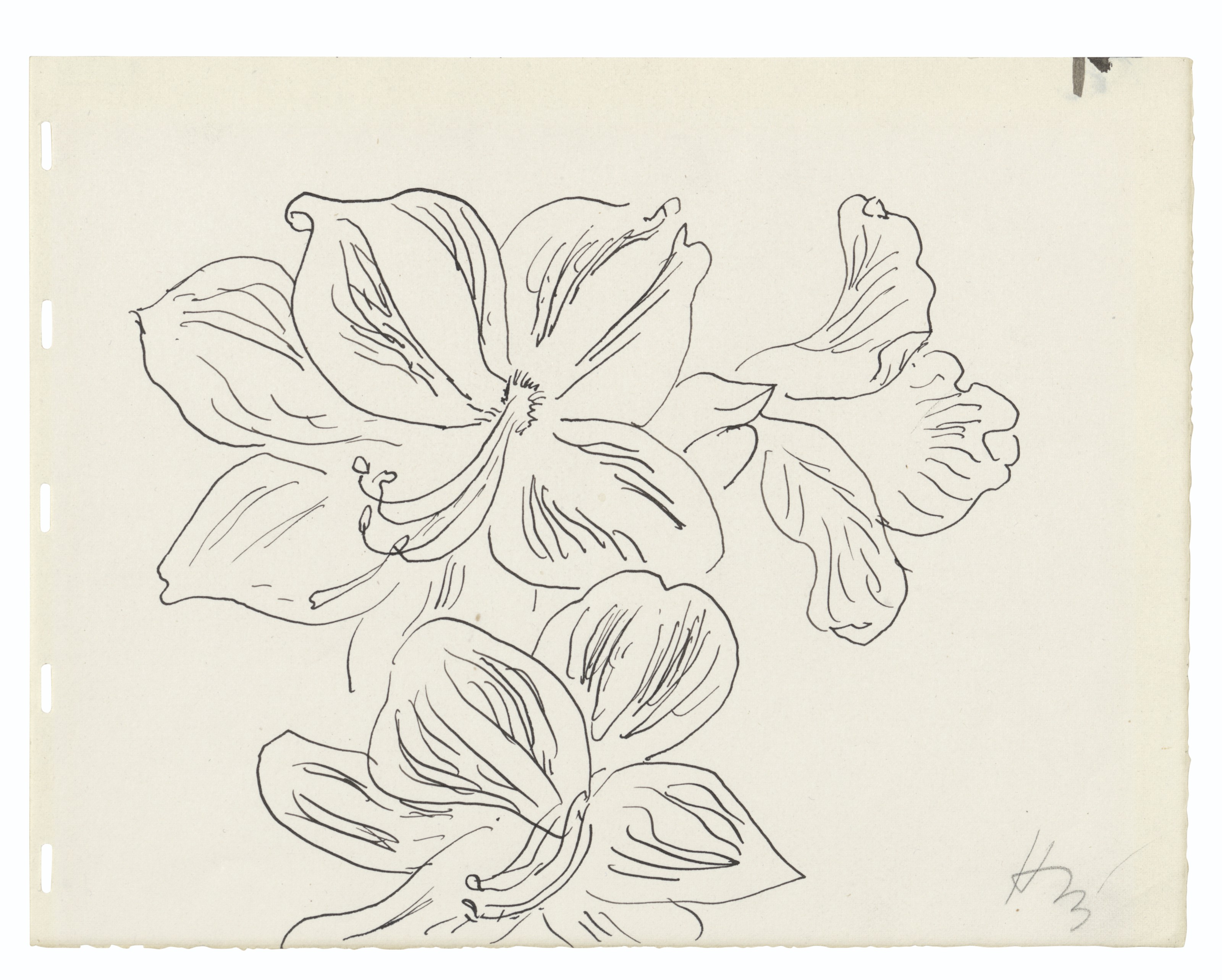 Matisse マティス Fleurs, Feuillages, Dessins Henri Matisse (1869-1954) , Fleurs et feuilles | Christie's
