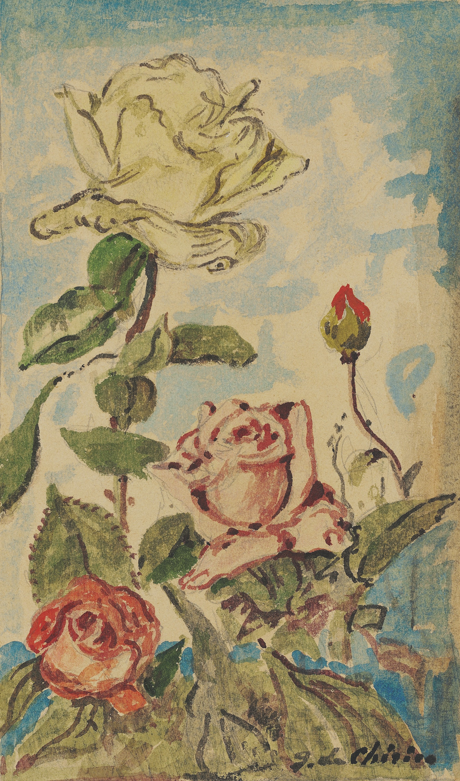 Rose