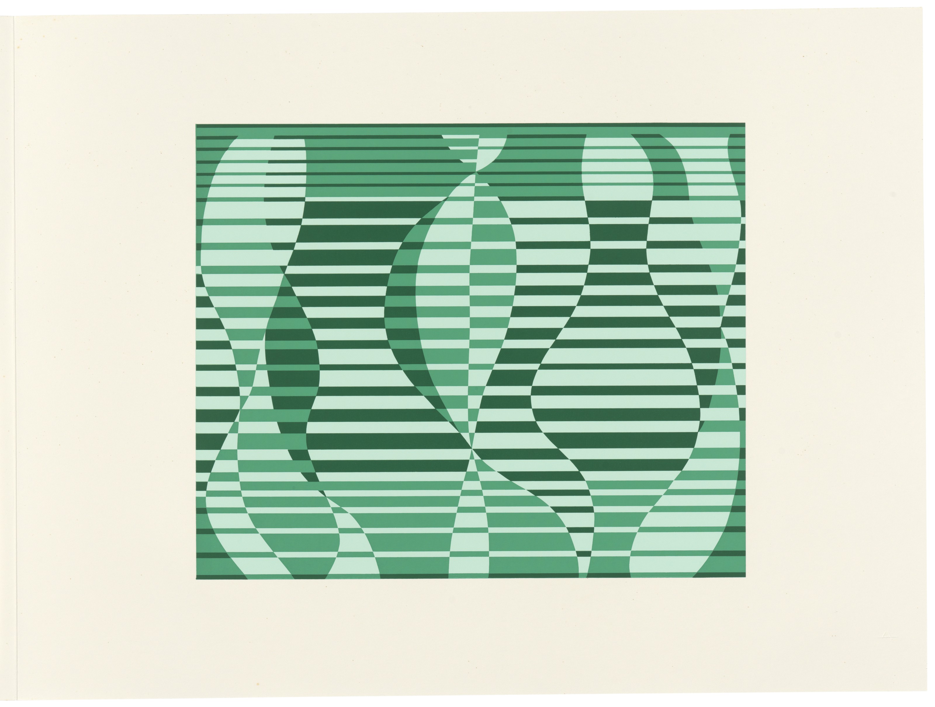 洋書 i geometri di arezzo 1966-1996 i geometri di arezzo 1966-1996