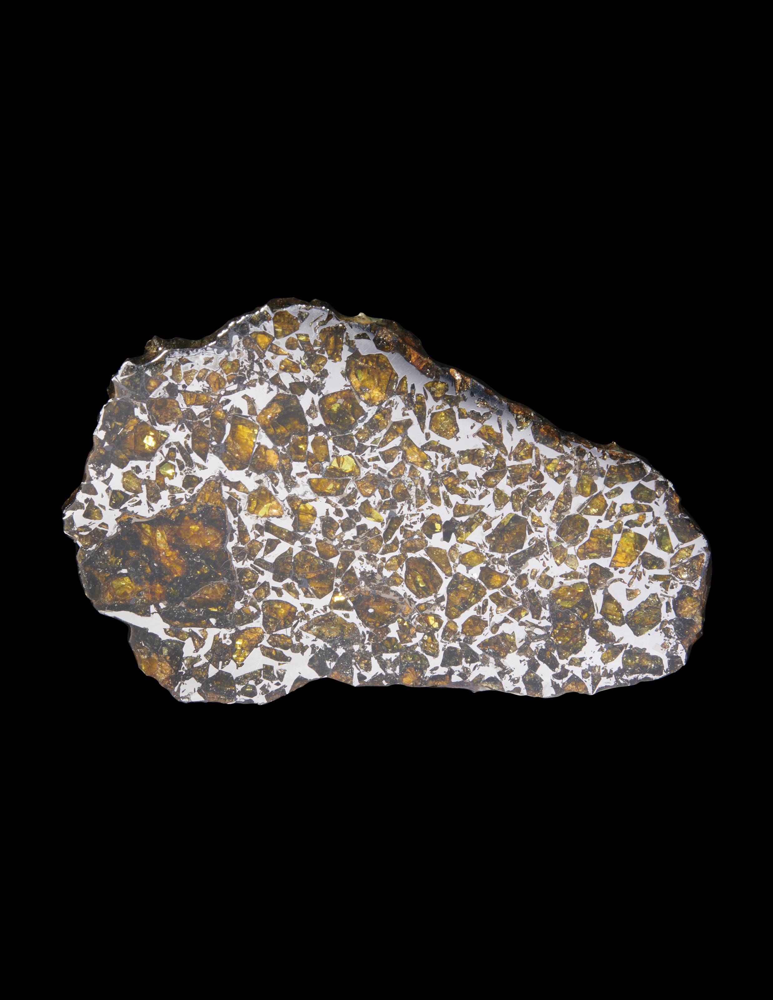 COMPLETE SLICE OF THE ADMIRE PALLASITE, PAL PALLASITE ADMIRE LYON COUNTY, KANSAS (38°42' N, 96