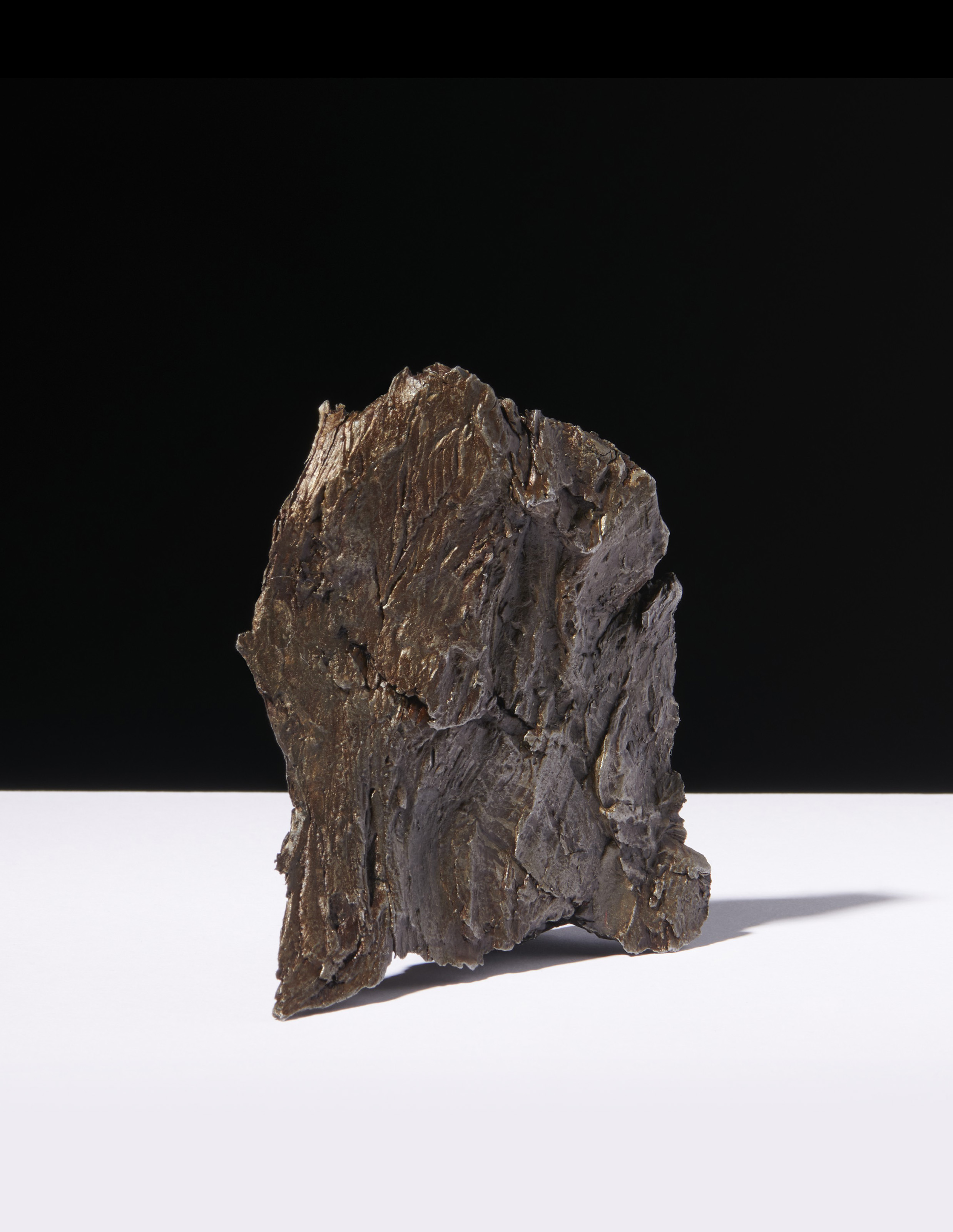 ●【擦れあり】Argivian Archaeologist　１枚 ○【擦れあり】Argivian Archaeologist 1枚 擦れあり】Argivian