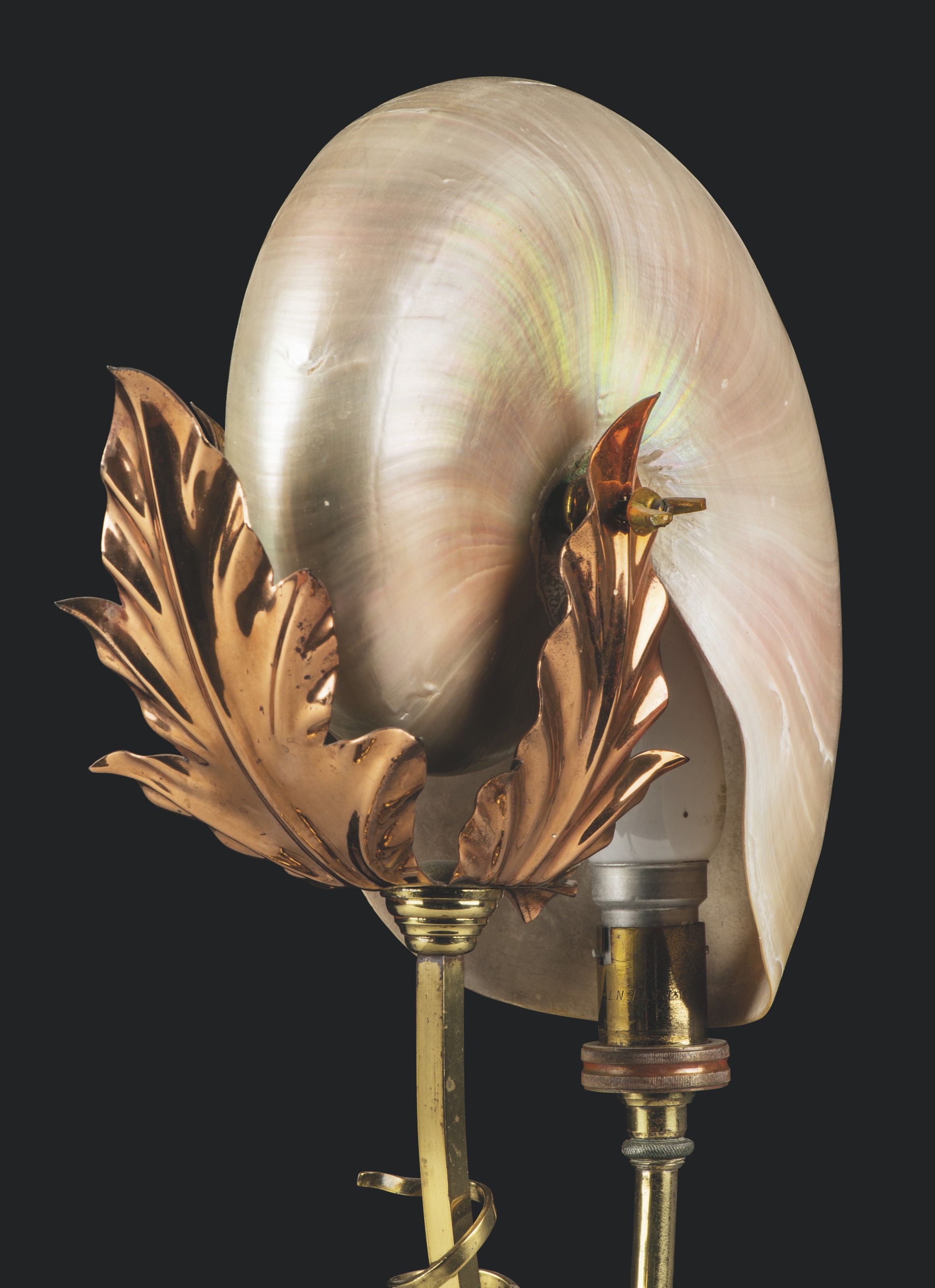 Nautilus shell lamp sales