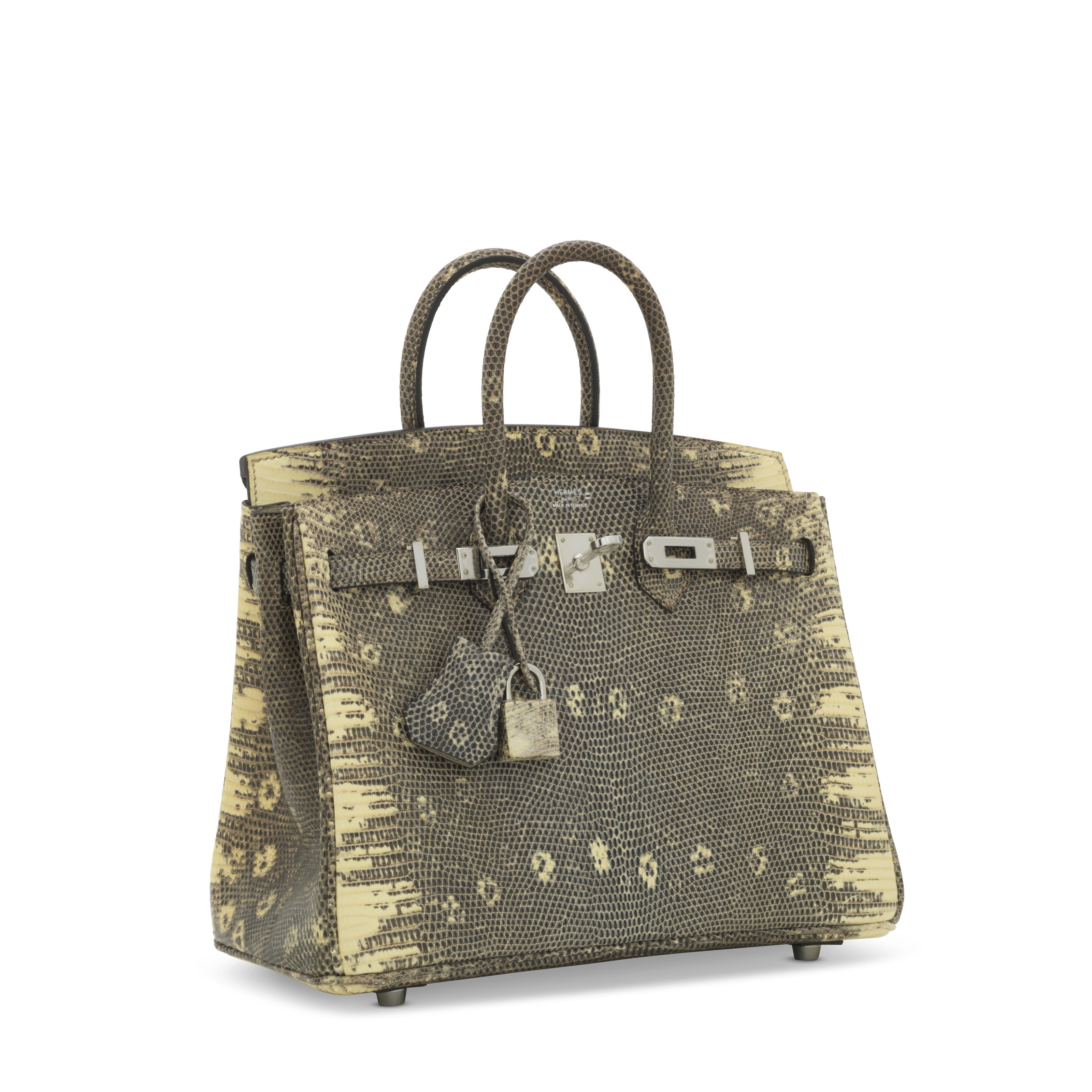 Hermes Kelly Sellier 25 Ombre Veranus Salvator Lizard Palladium