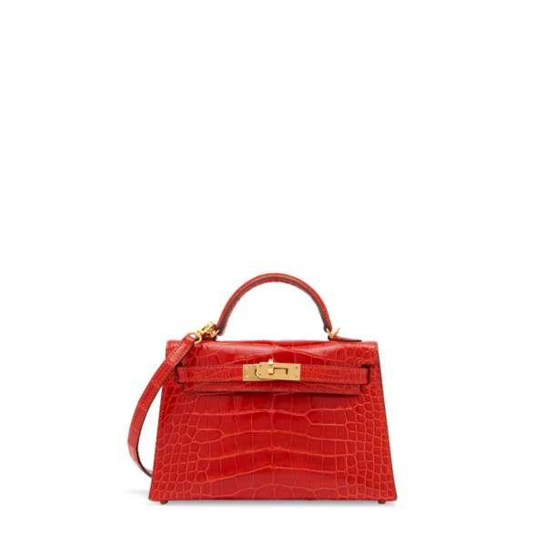 Braise Shiny Porosus Crocodile Mini Kelly 20 Gold Hardware, 2021, Handbags  & Accessories, 2023