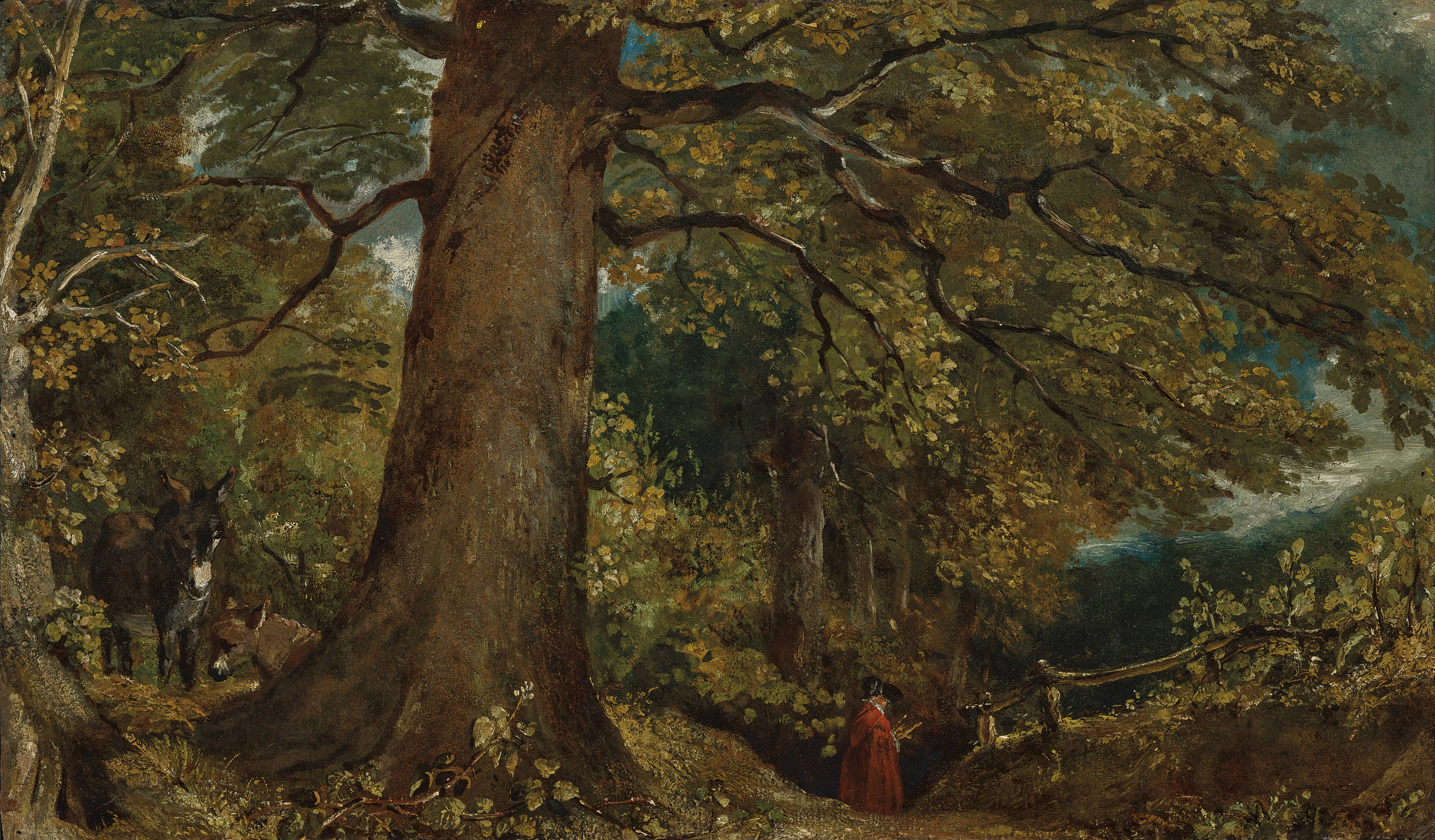 Woodland landscape