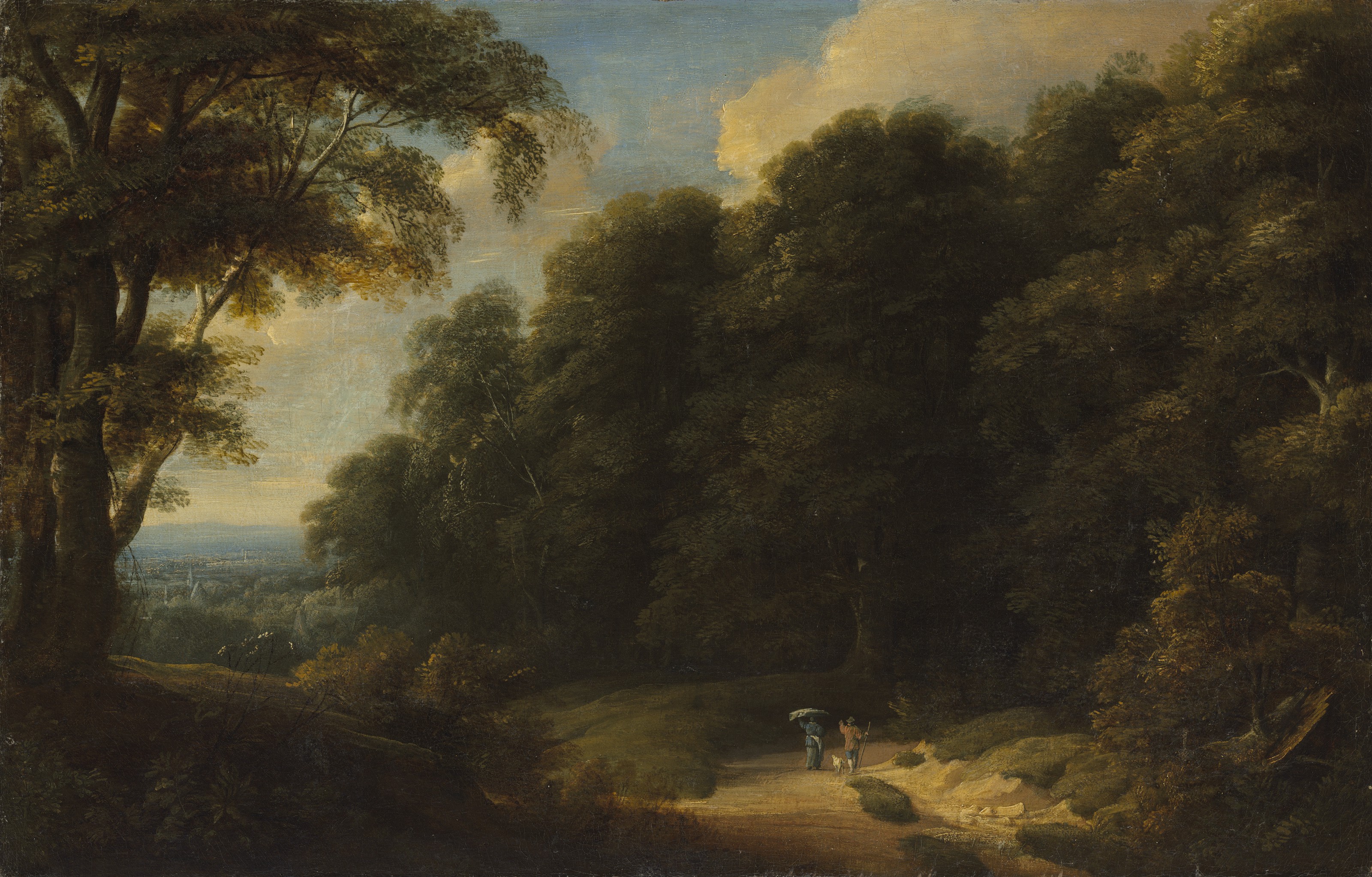 Catalog image of The Sonian Forest with travellers on a path