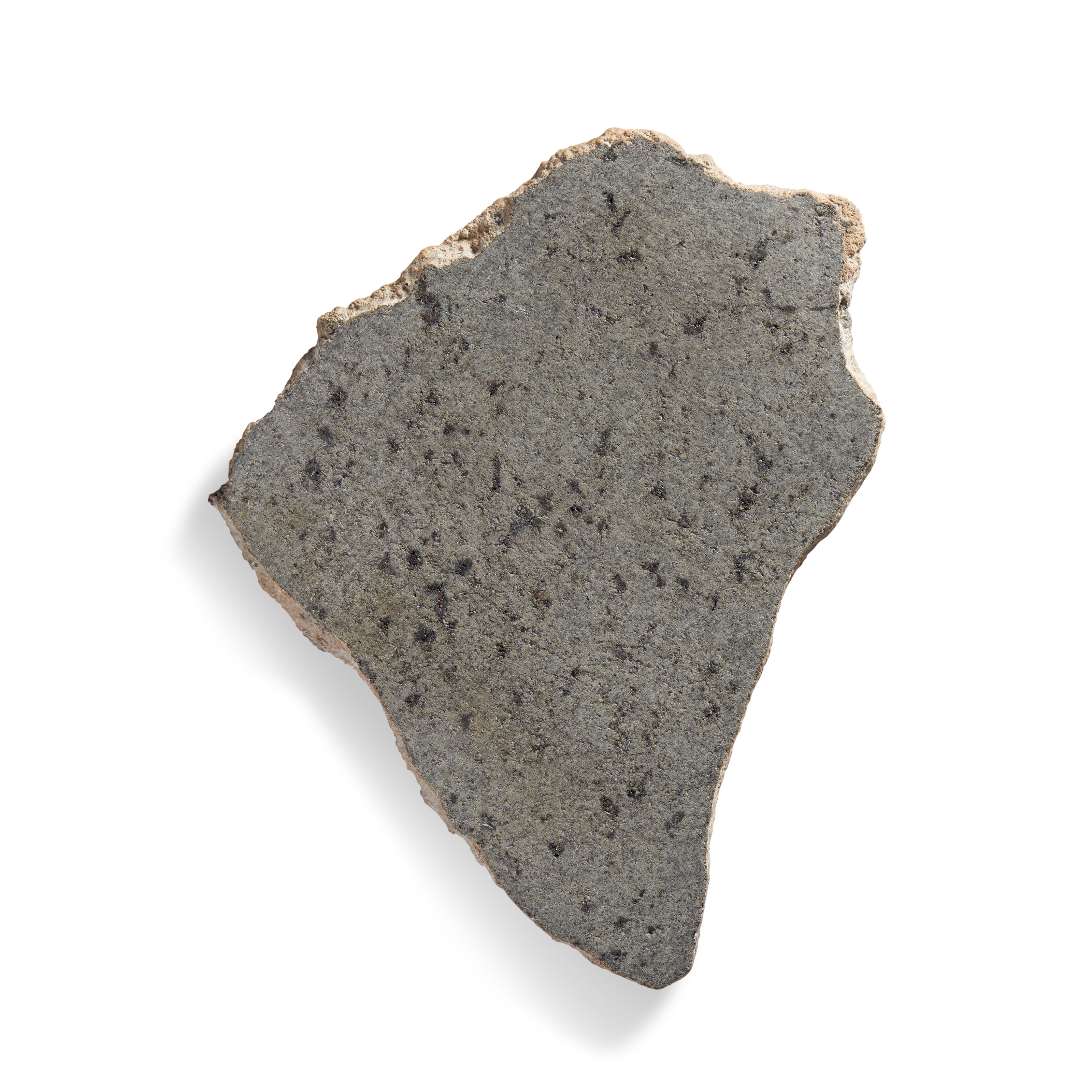 COMPLETE SLICE OF A MARTIAN METEORITE — SHERGOTTITE NWA
