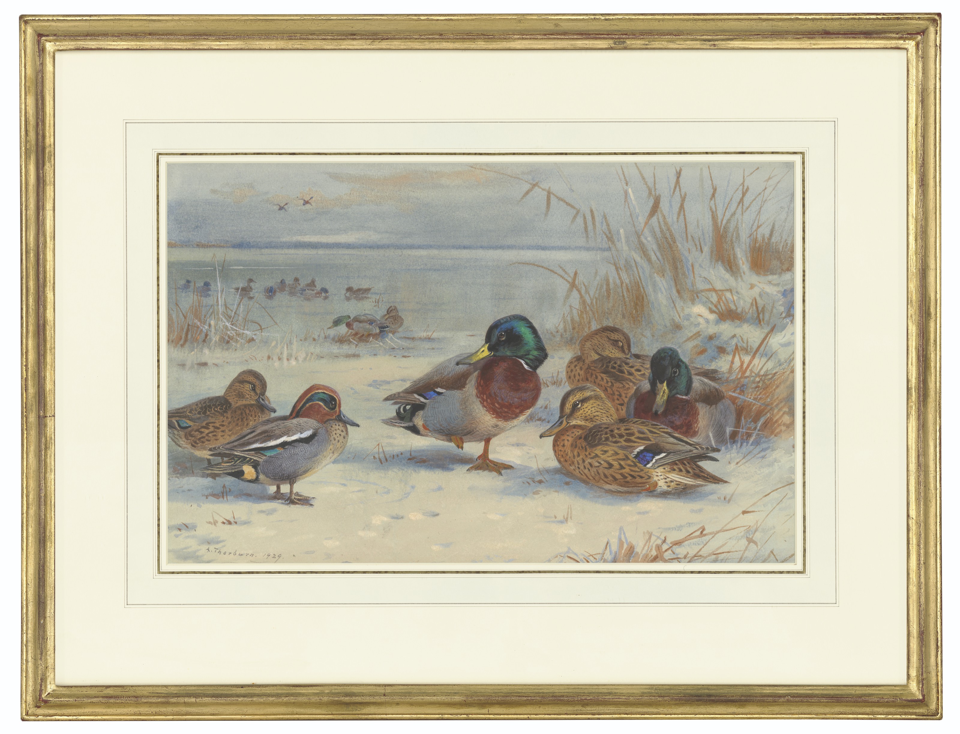 Ep5 : Leaving Home, image size:3200x2447