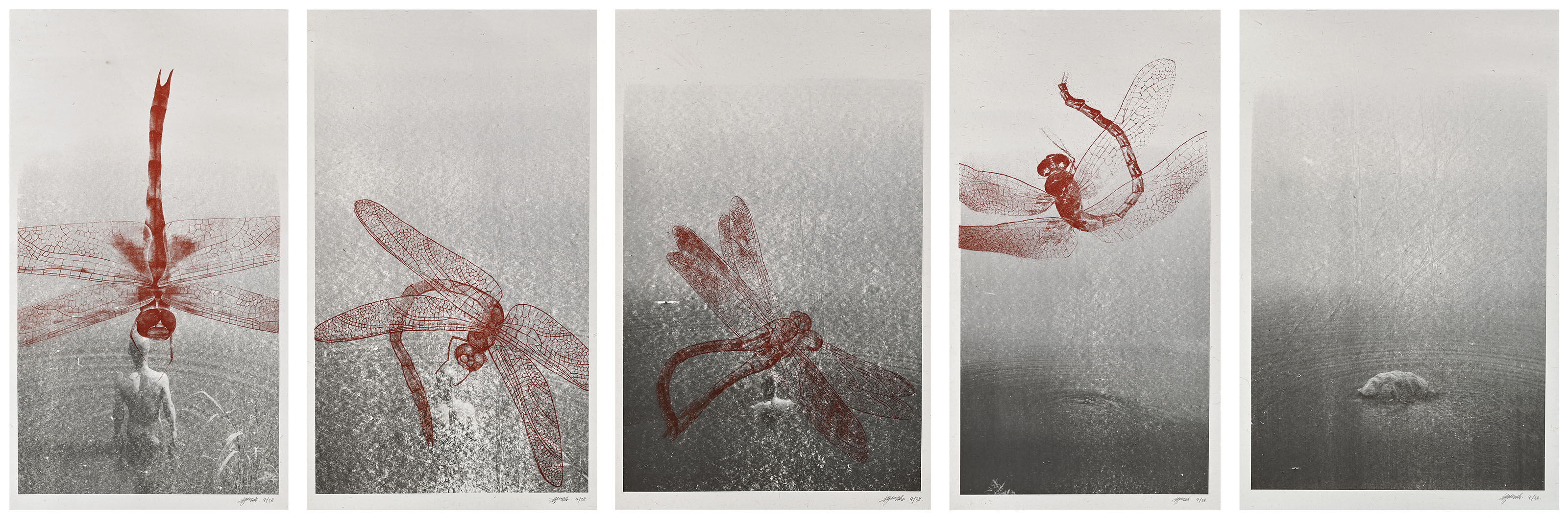 Zhang Huan B 1965 Dragonfly A Set Of 5 Christie S