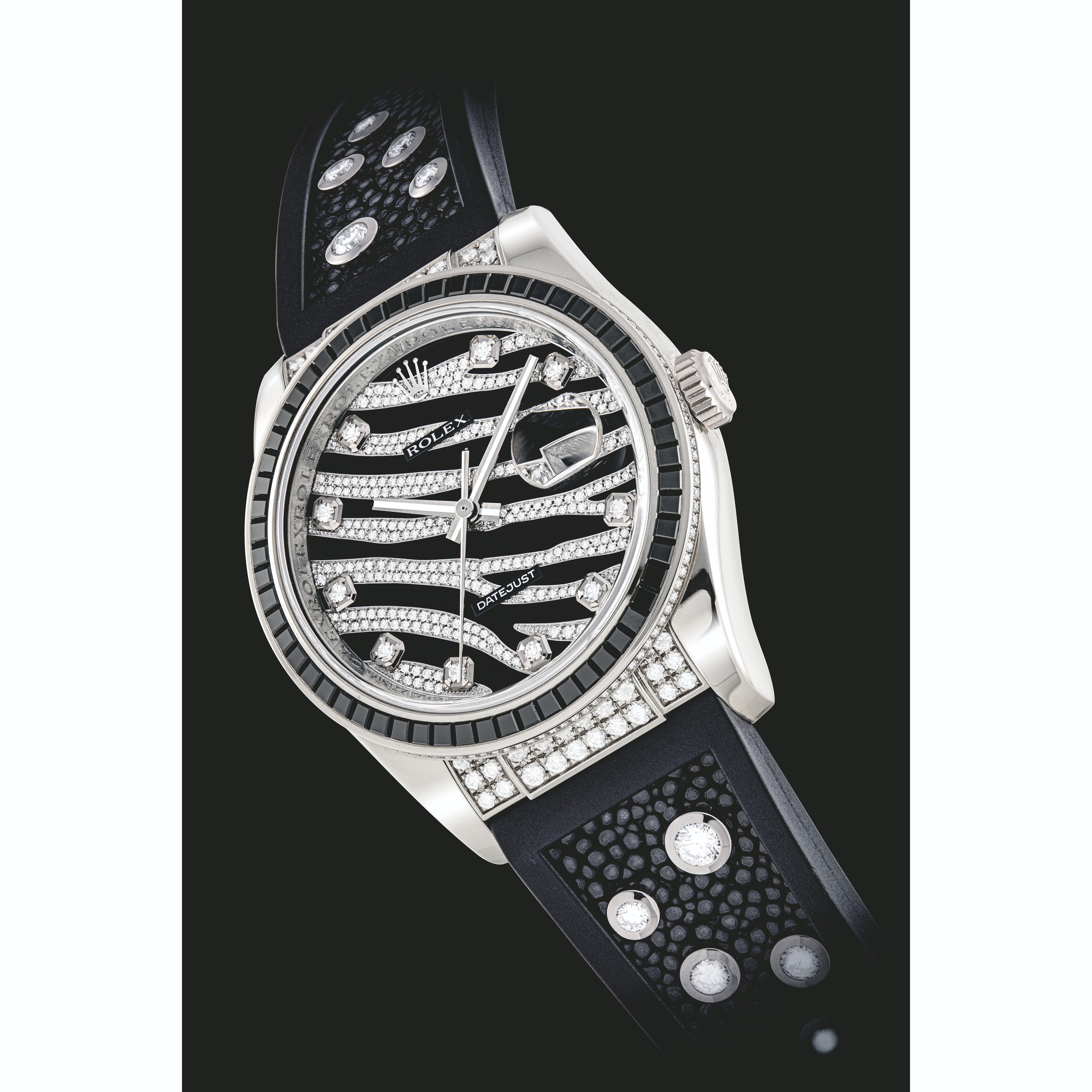 Rolex zebra sale special edition