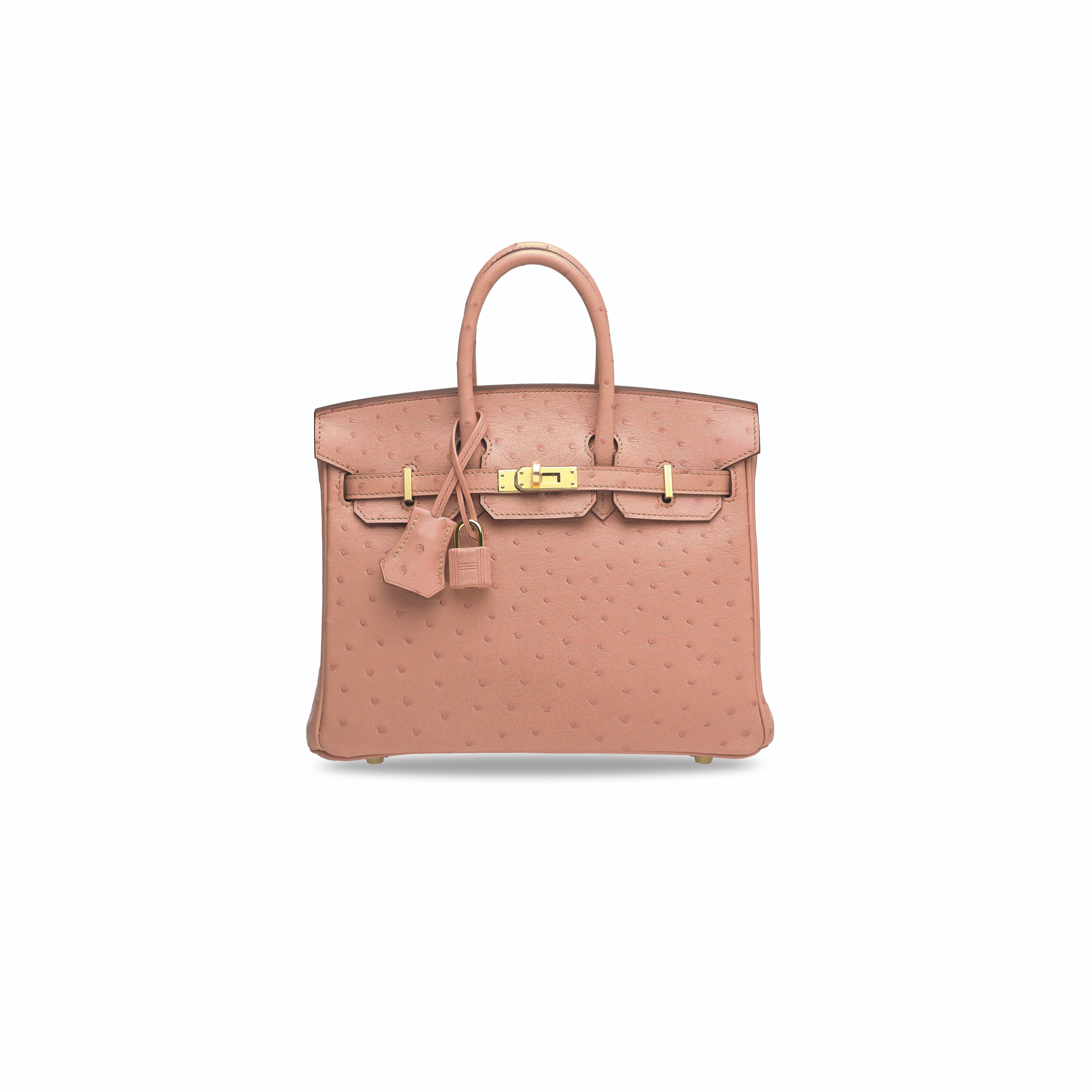 A TERRE CUITE OSTRICH BIRKIN 25 WITH GOLD HARDWARE