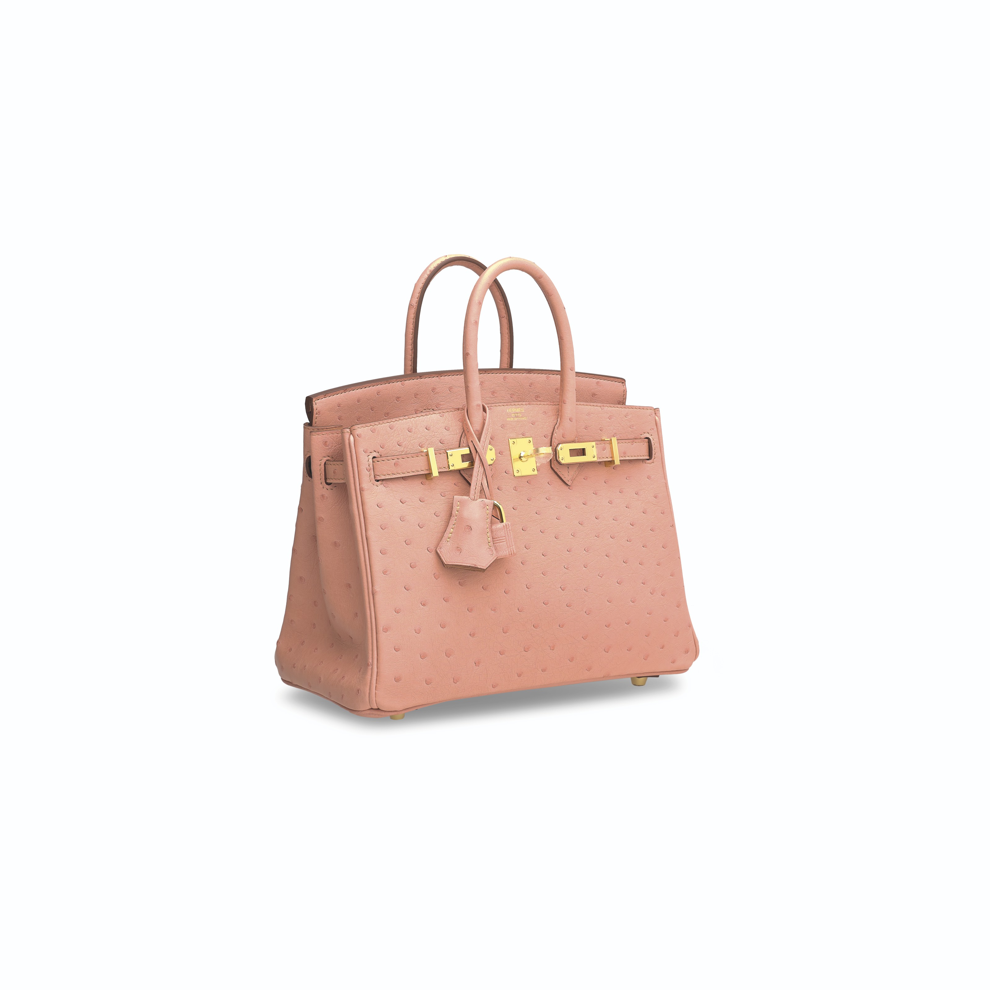 A TERRE CUITE OSTRICH BIRKIN 25 WITH GOLD HARDWARE