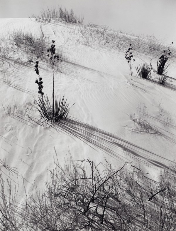 ANSEL ADAMS (1902–1984)