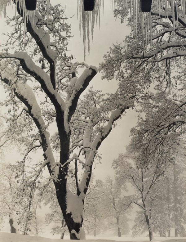 ANSEL ADAMS (1902–1984)