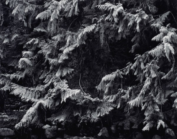 ANSEL ADAMS (1902–1984)