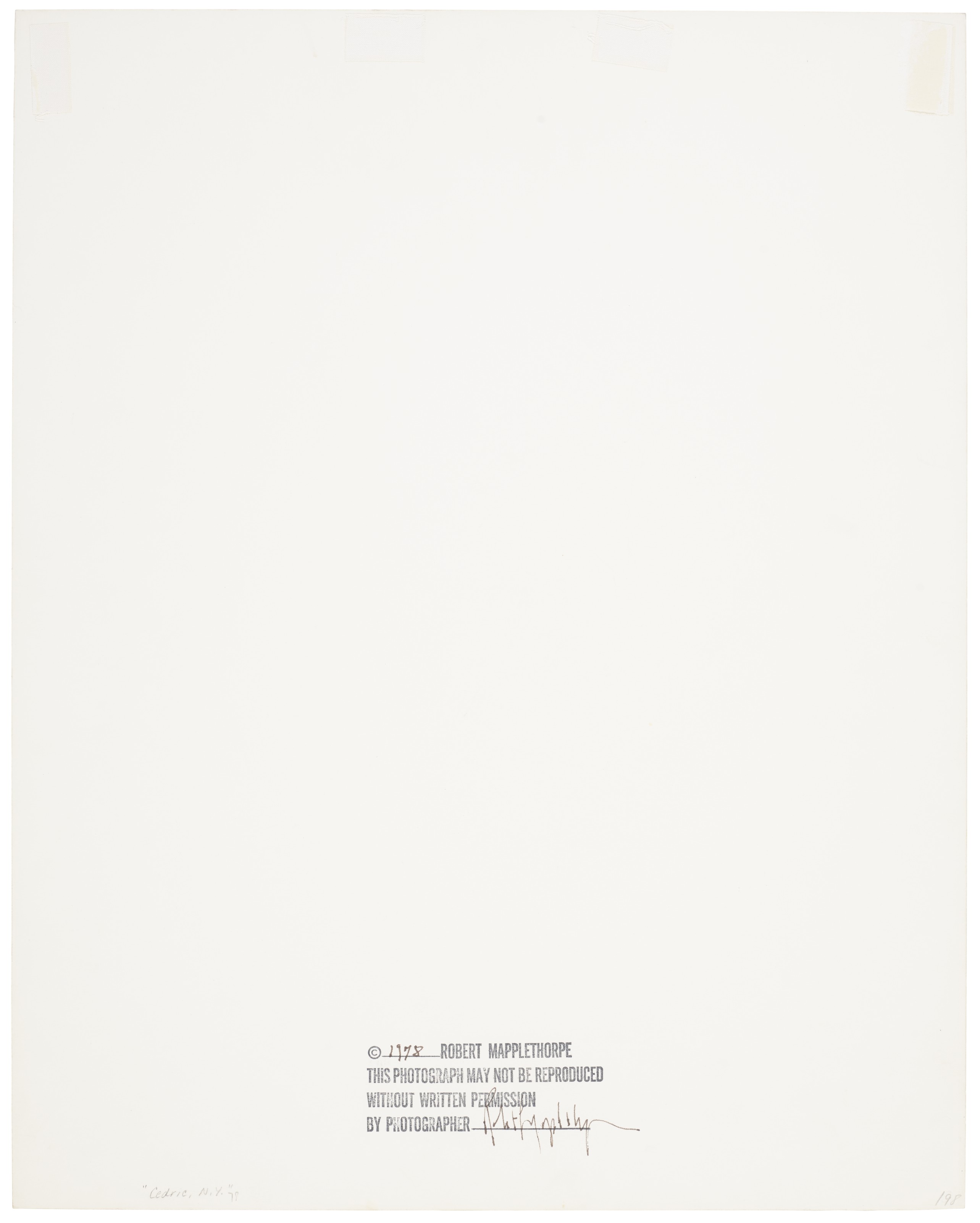 ROBERT MAPPLETHORPE (19461989)