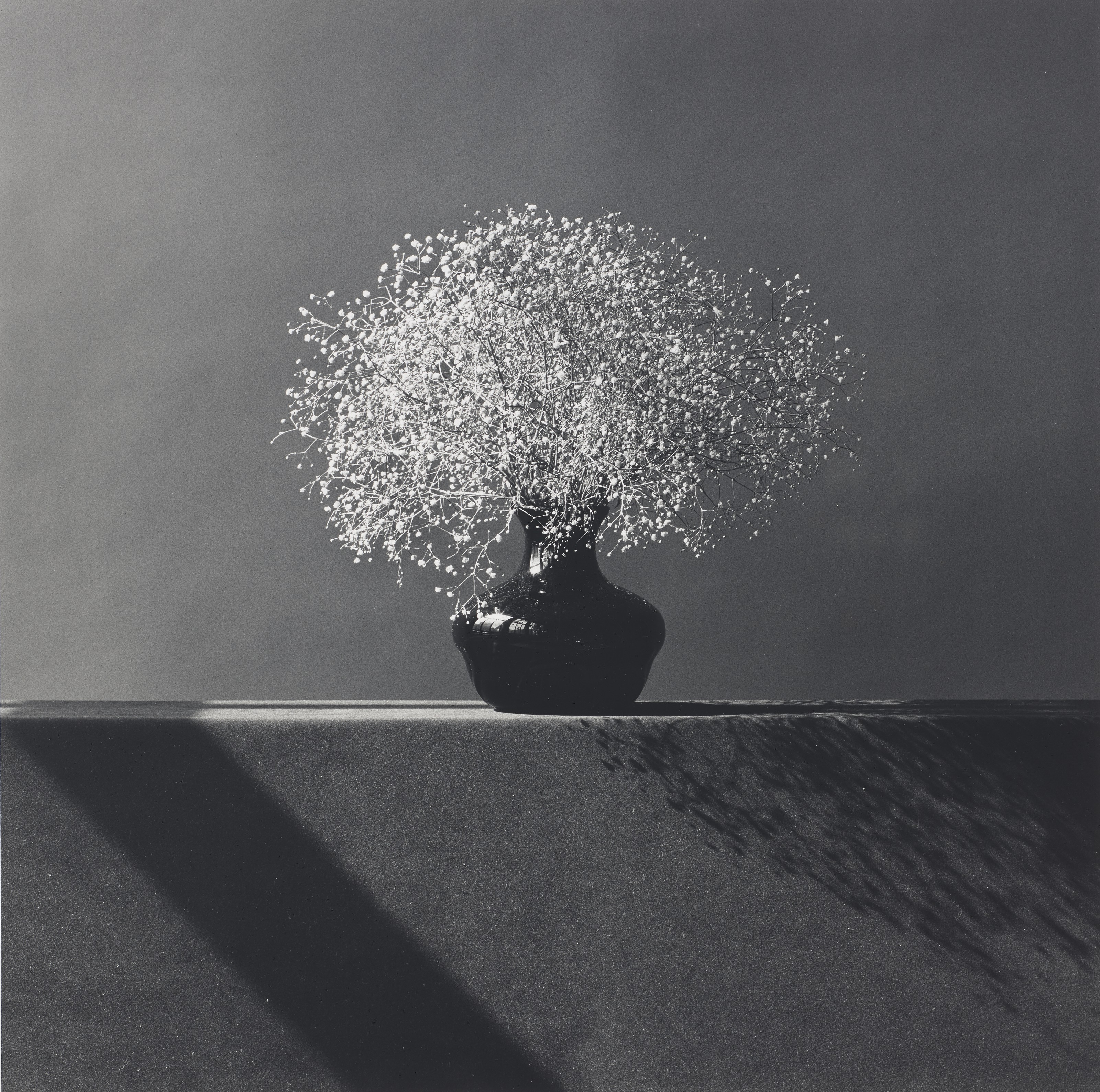 ROBERT MAPPLETHORPE (1946–1989), Tulip, 1985 | Christie's
