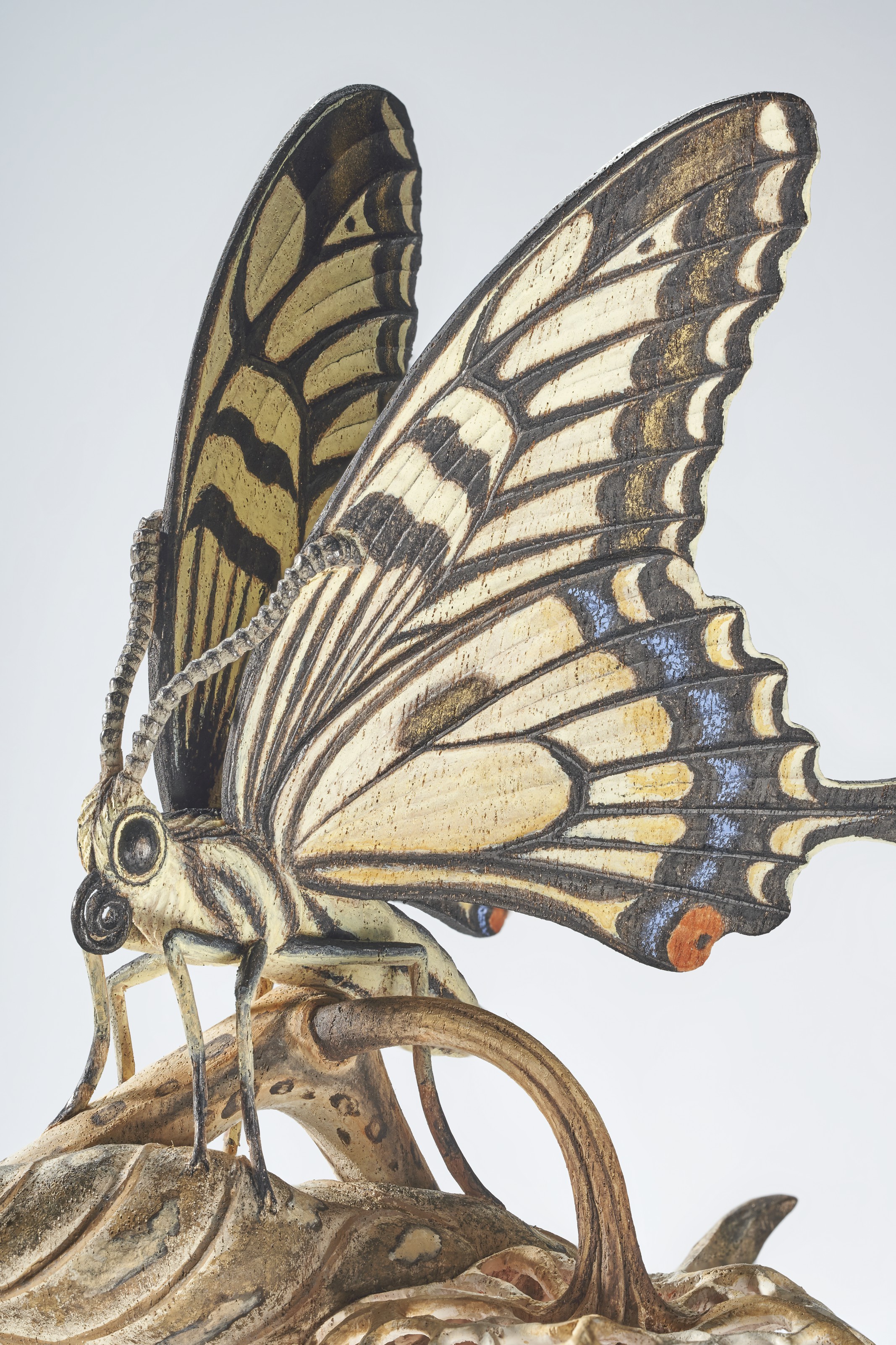 MIYABI × antique butterfly JINBO MIYABI (B. 1952), Banka