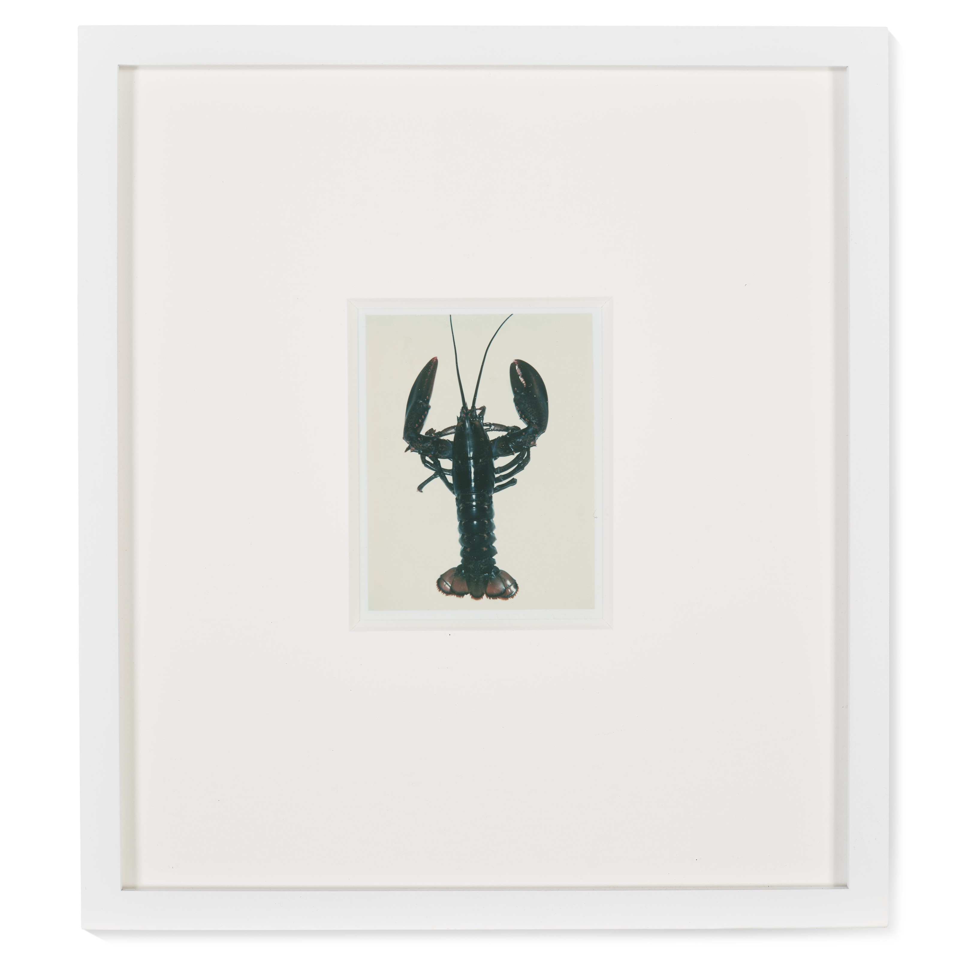 Andy Warhol (1928-1987), Lobster | Christie's