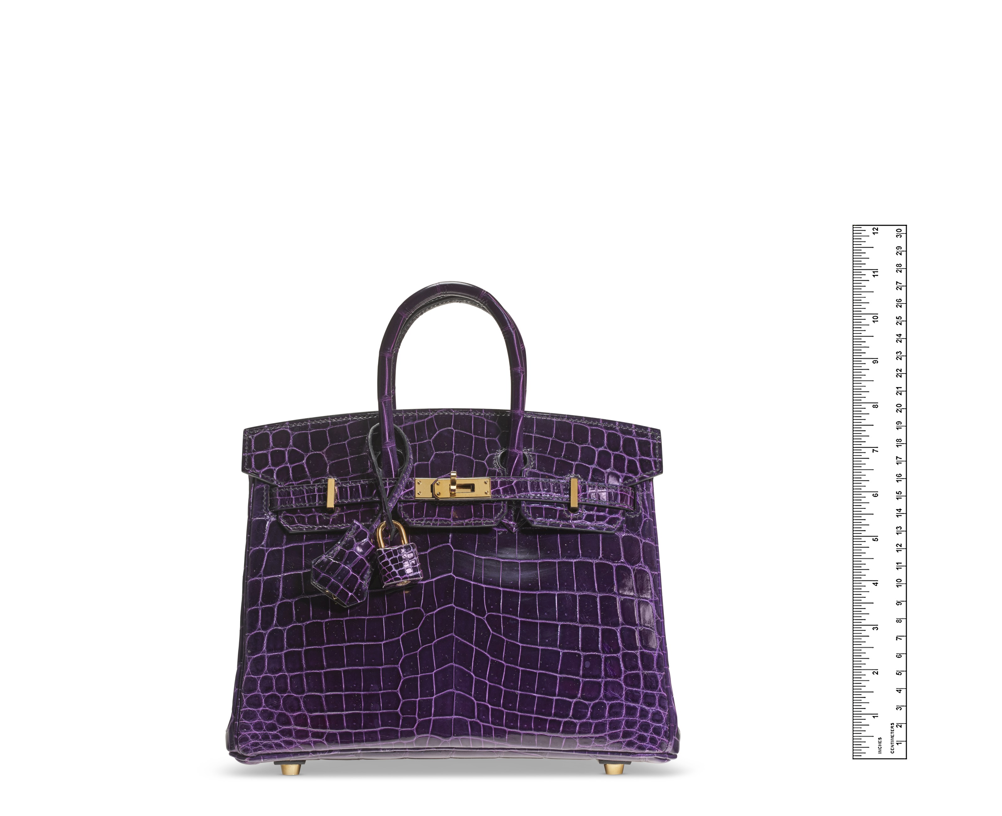 A SHINY AUBERGINE NILOTICUS CROCODILE BIRKIN 25 WITH GOLD HARDWARE