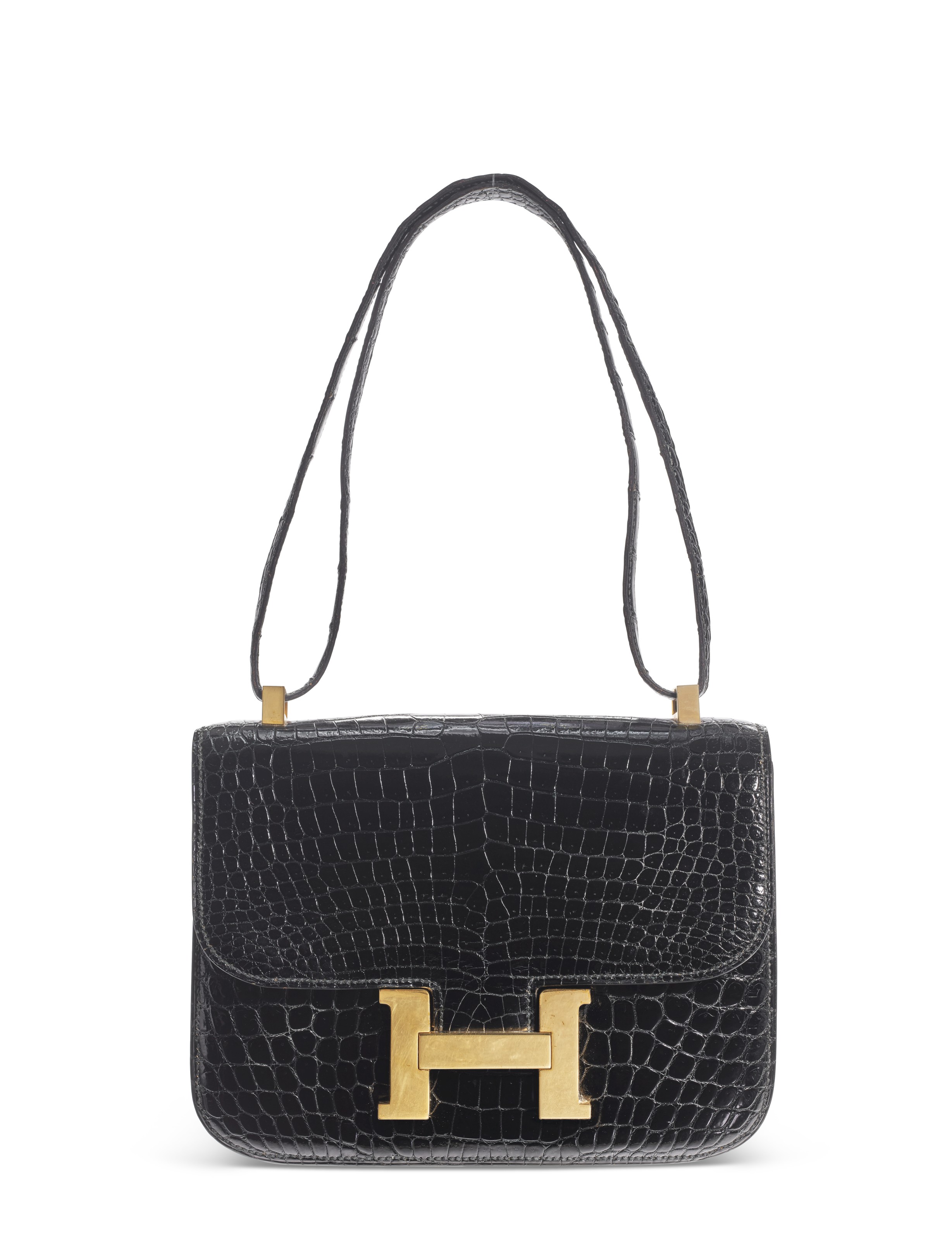 Crocodile constance on sale