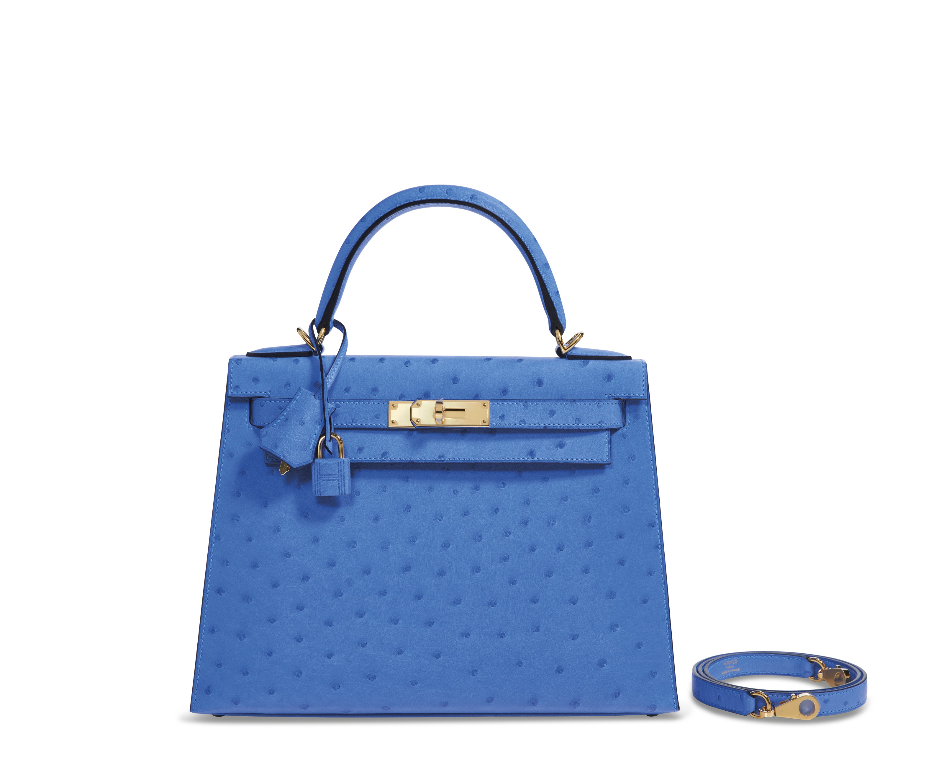 Hermes Kelly Pochette Bag Bleuet Ostrich Clutch Gold Hardware – Mightychic