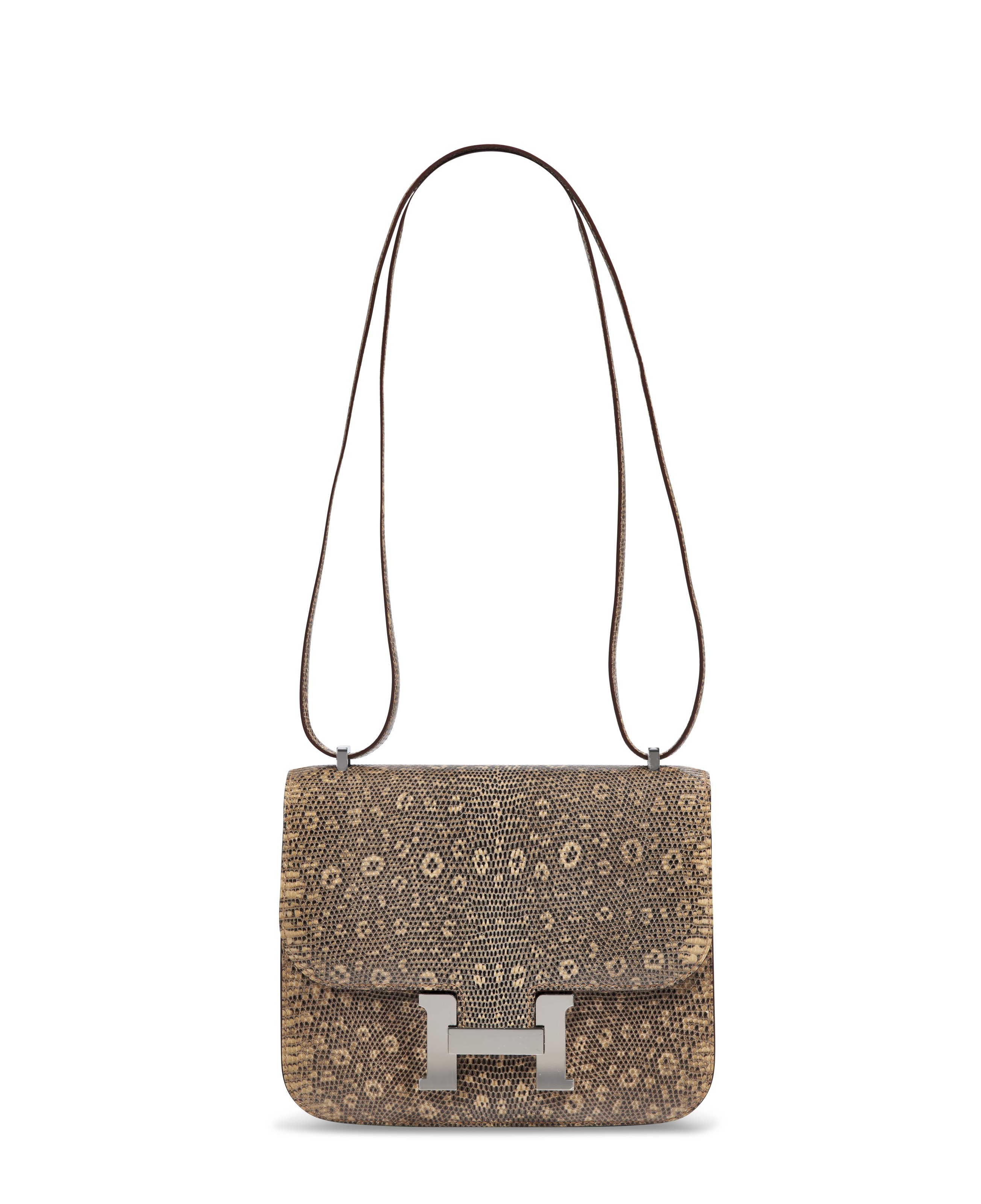 A DESERT OMBRÉ SALVATOR LIZARD MINI CONSTANCE 18 WITH PALLADIUM