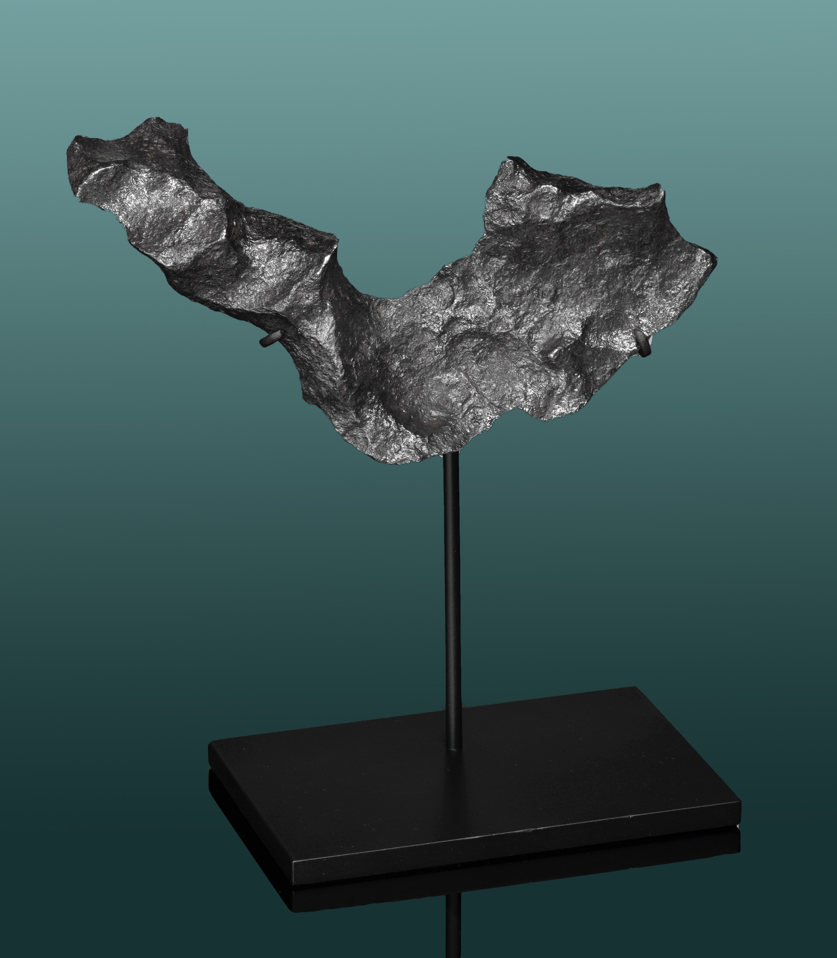 SELECT GIBEON METEORITE — NATURAL ABSTRACT SCULPTURE FROM OUTER