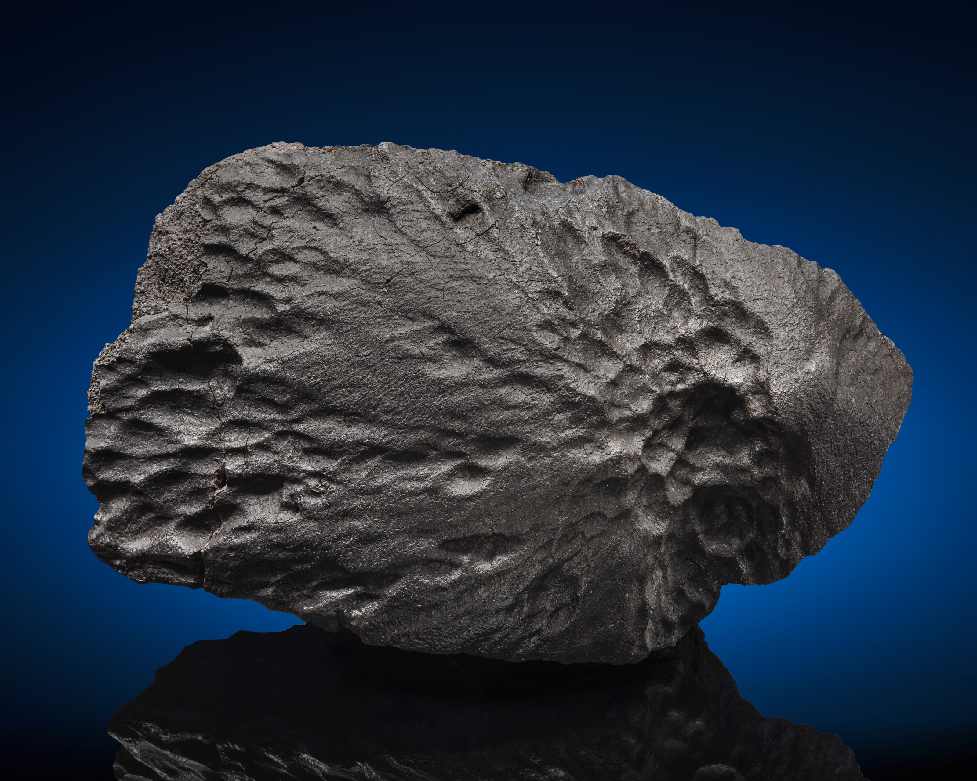SPECTACULAR ORIENTED STONE METEORITE, The Sahara Desert Christie’s