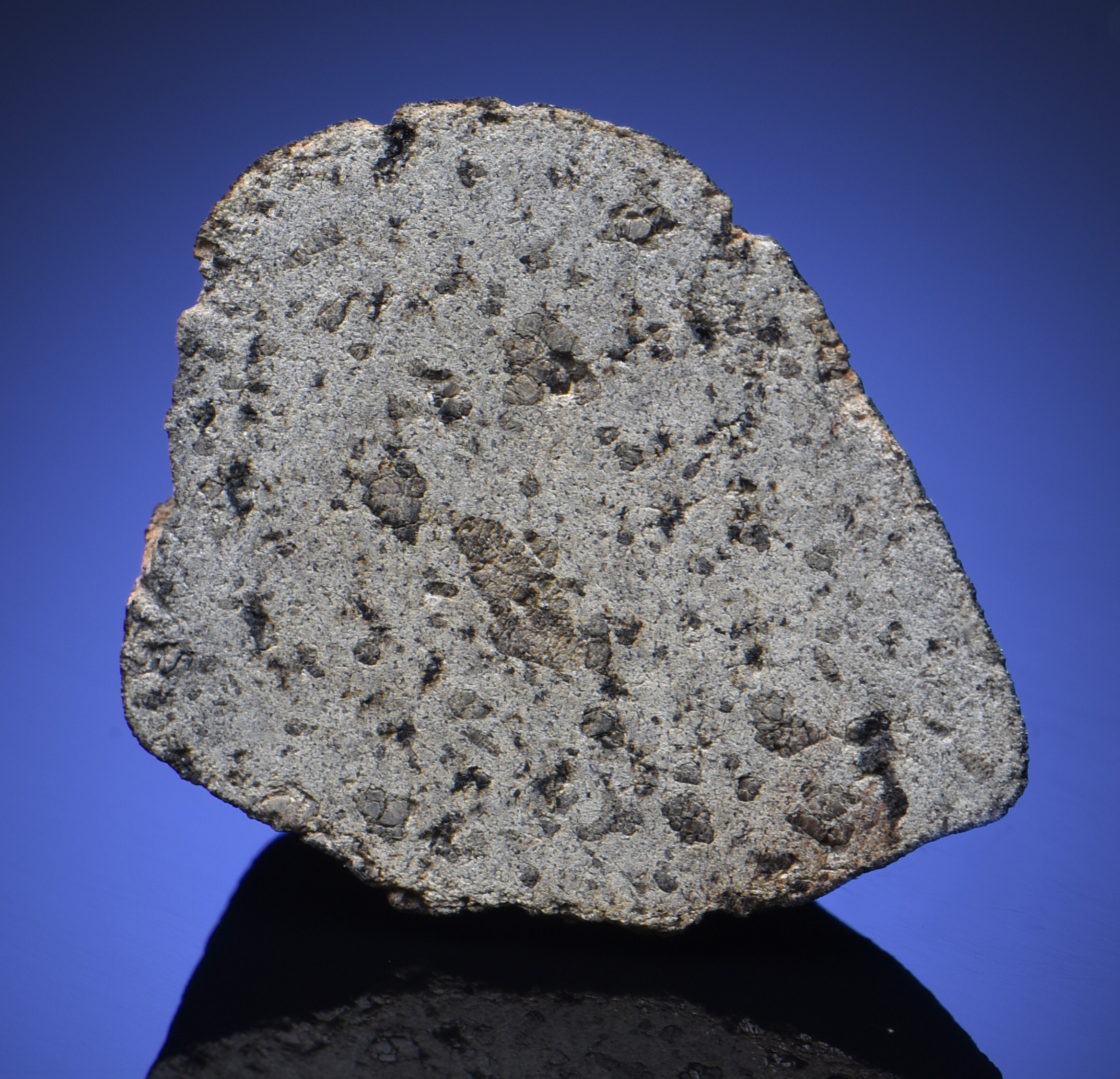 NANTAN METEORITE SLAB, Iron, medium octahedrite – IAB-MG