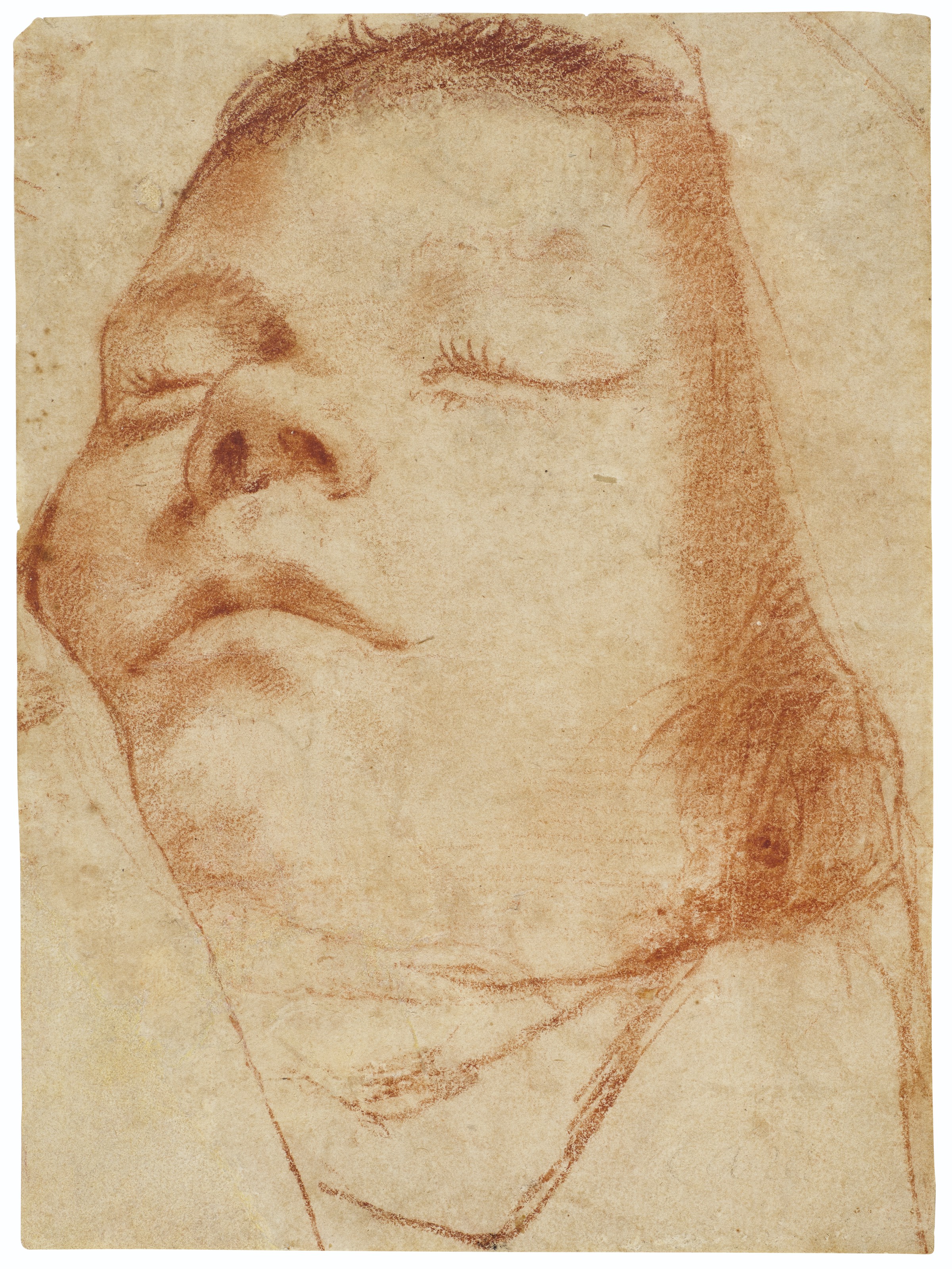 Catalog image of Head of a sleeping boy (recto); Three fragmentary studies, including one of a l…