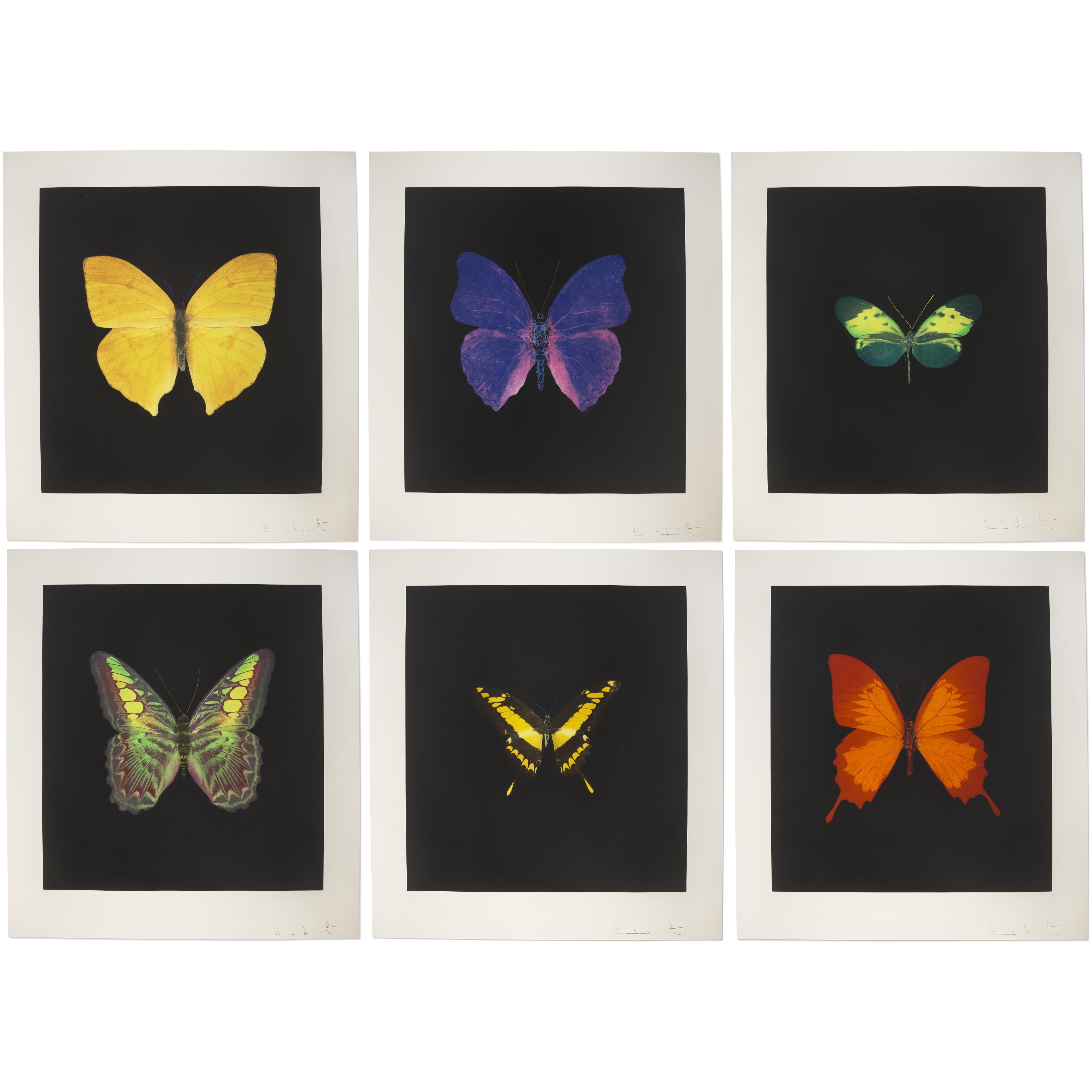 DAMIEN HIRST (B. 1965)