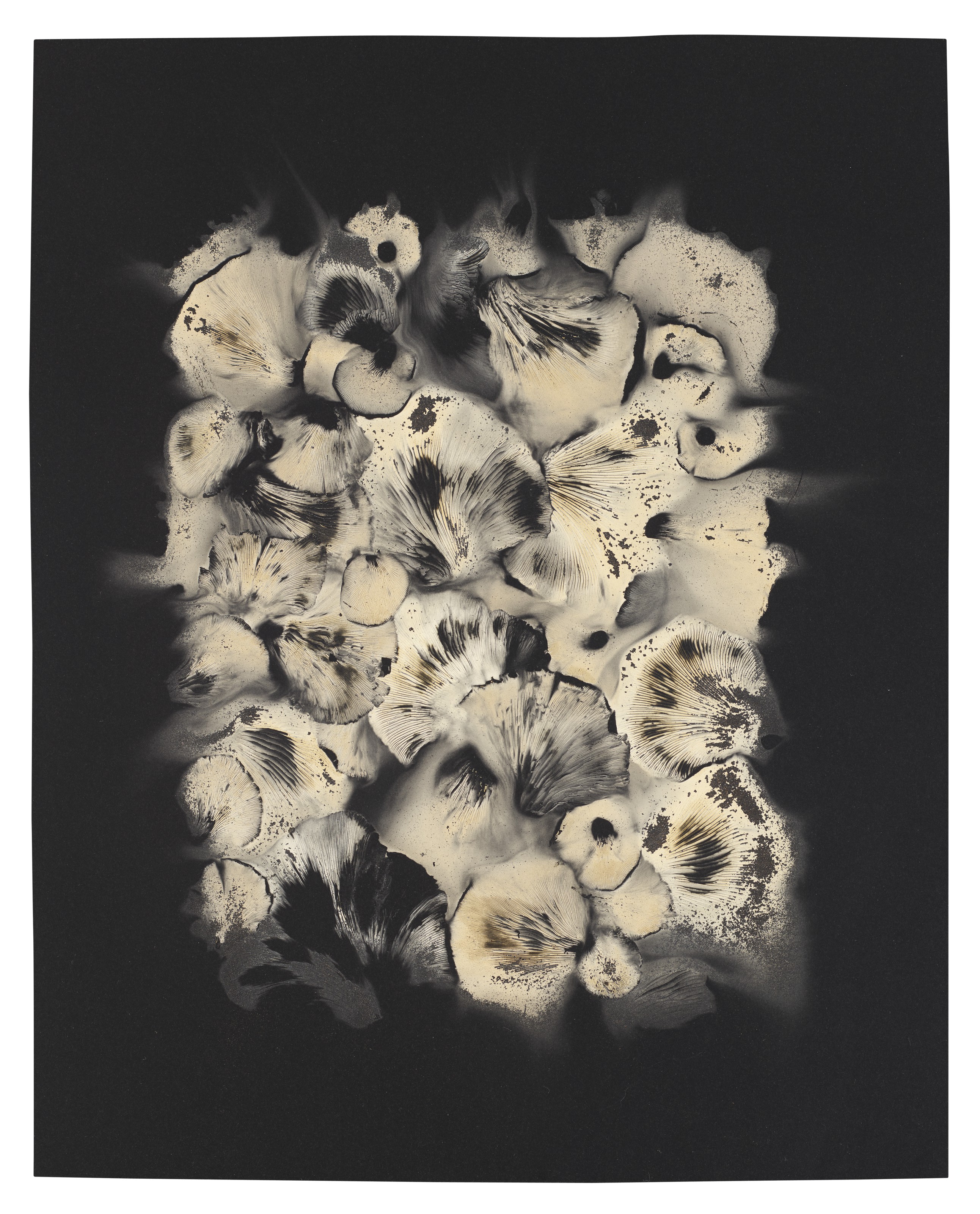 Adam Fuss (b. 1961), Untitled (spore) | Christie's