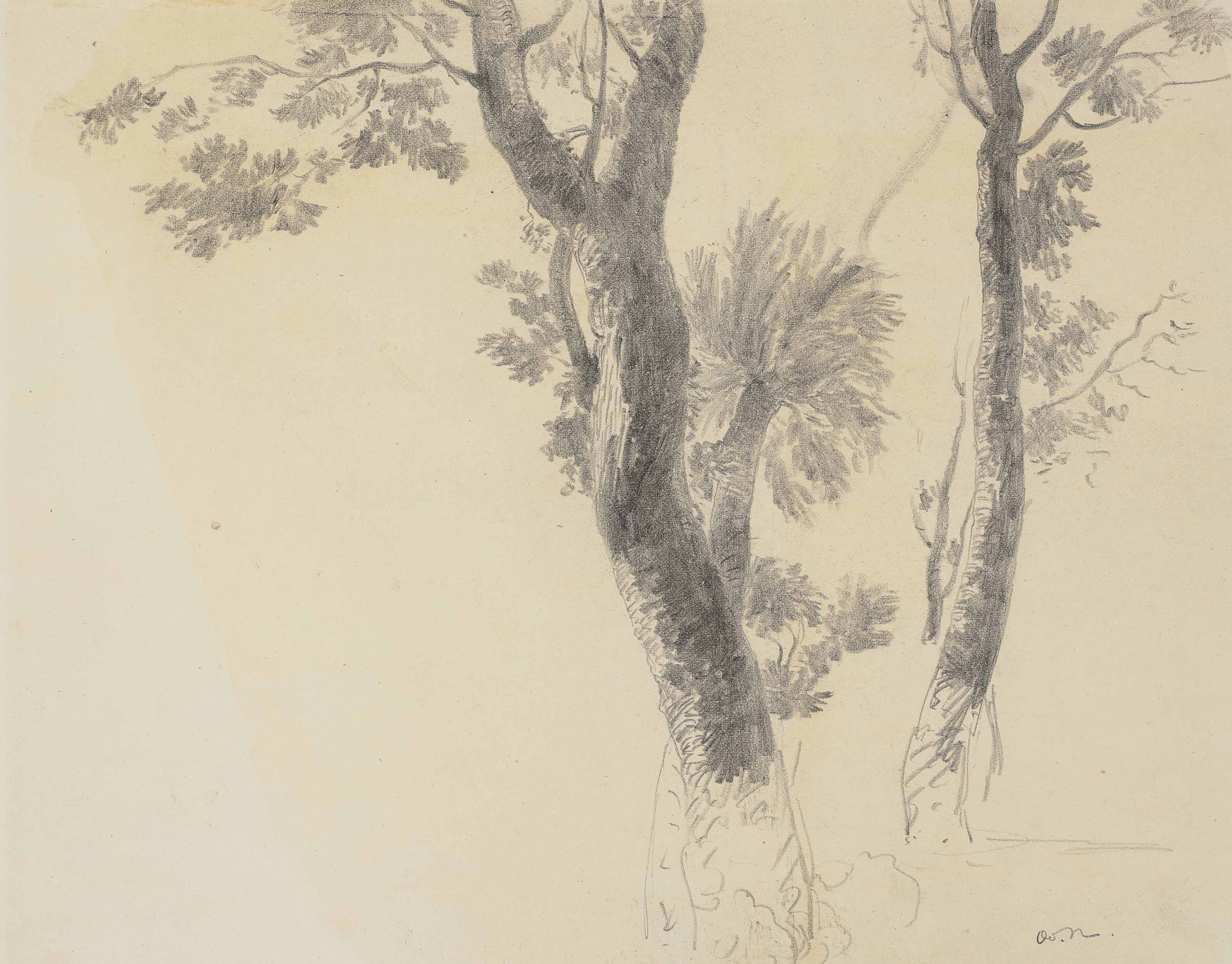 Etudes d'arbres