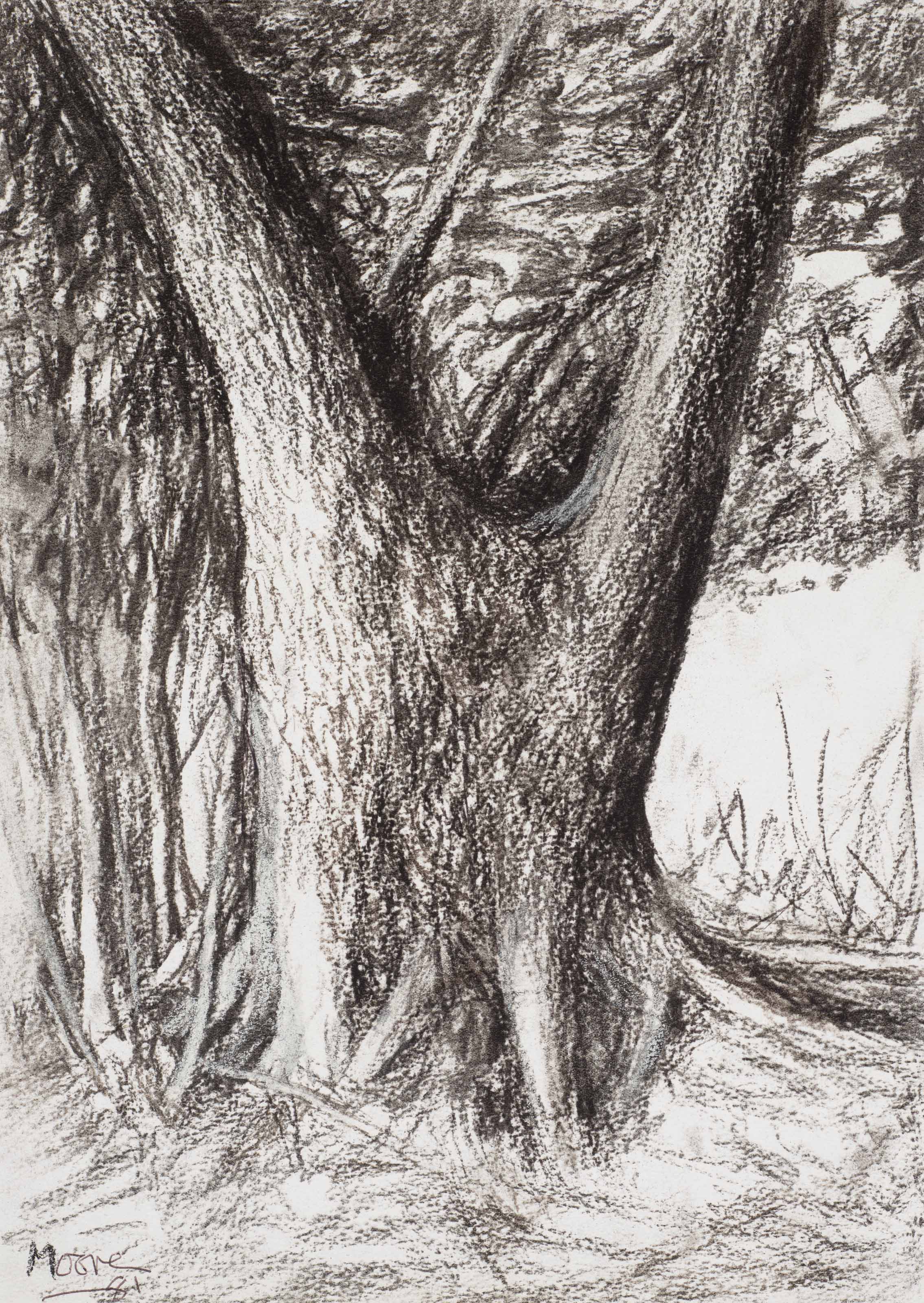 Tree Trunk