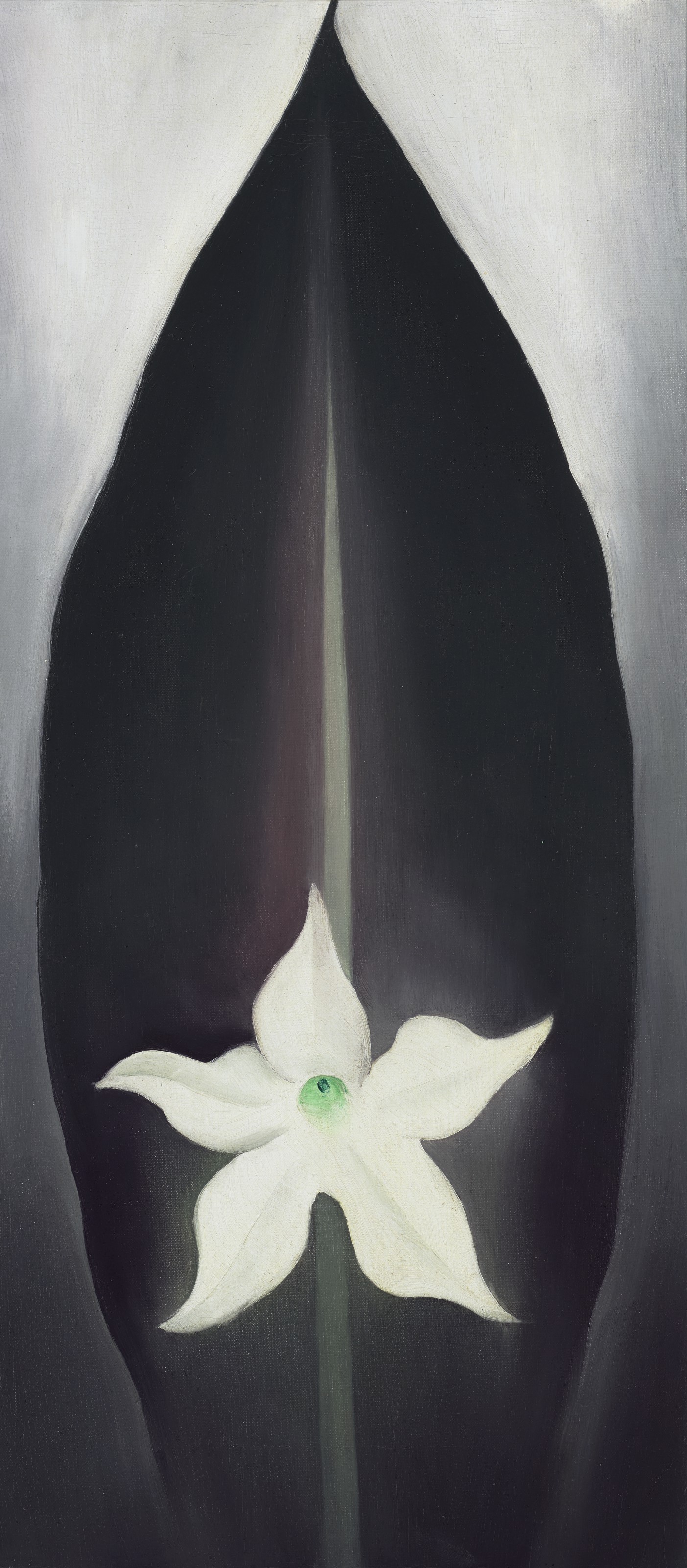 Georgia O'Keeffe (1887-1986), Autumn Leaf with White Flower, 1926. Oil on canvas.
20 x 9 in (50.8 x 22.9 cm). Estimate: $3,000,000-5,000,000. Offered in Fields of Vision: The Private Collection of Artists Wolf Kahn and Emily Mason on 18 May at Christie&rsquo;s in New York