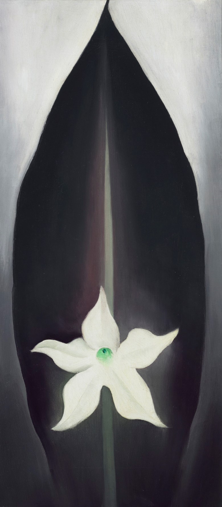 Georgia OKeeffe (1887-1986), Autumn Leaf with White Flower, 1926. Oil on canvas.
20 x 9 in (50.8 x 22.9 cm). Estimate $3,000,000-5,000,000. Offered in Fields of Vision The Private Collection of Artists Wolf Kahn and Emily Mason on 18 May at Christie’s in New York