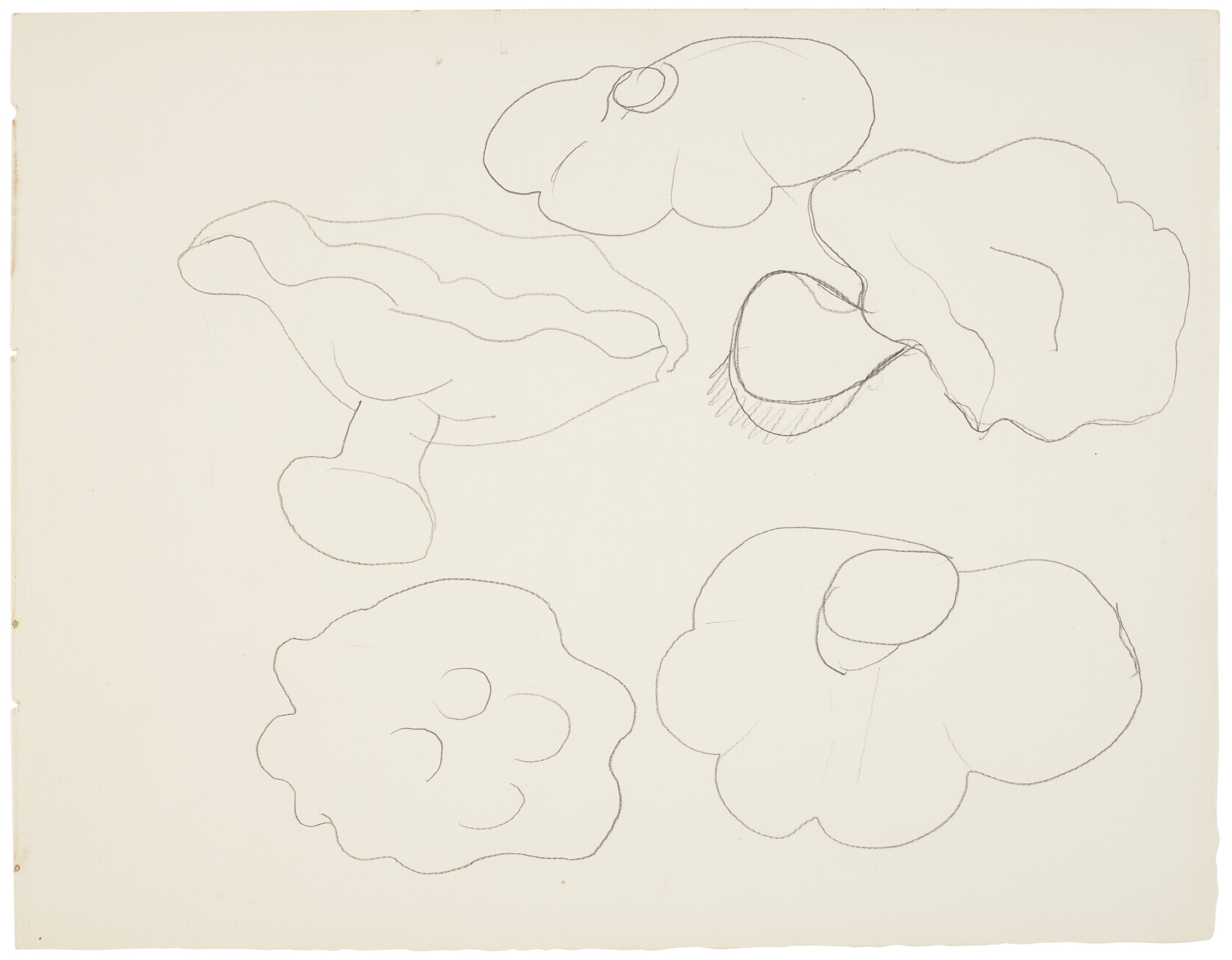 Etude de champignons (recto and verso) 