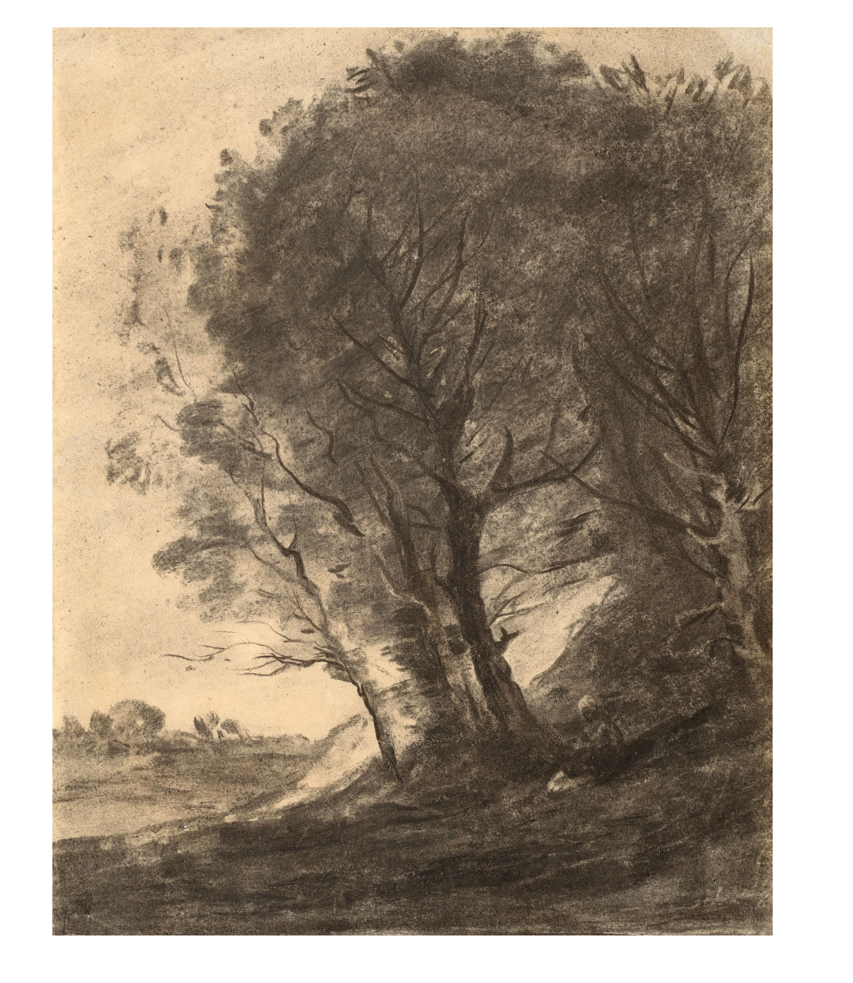 Figure assise dans un paysage arboré