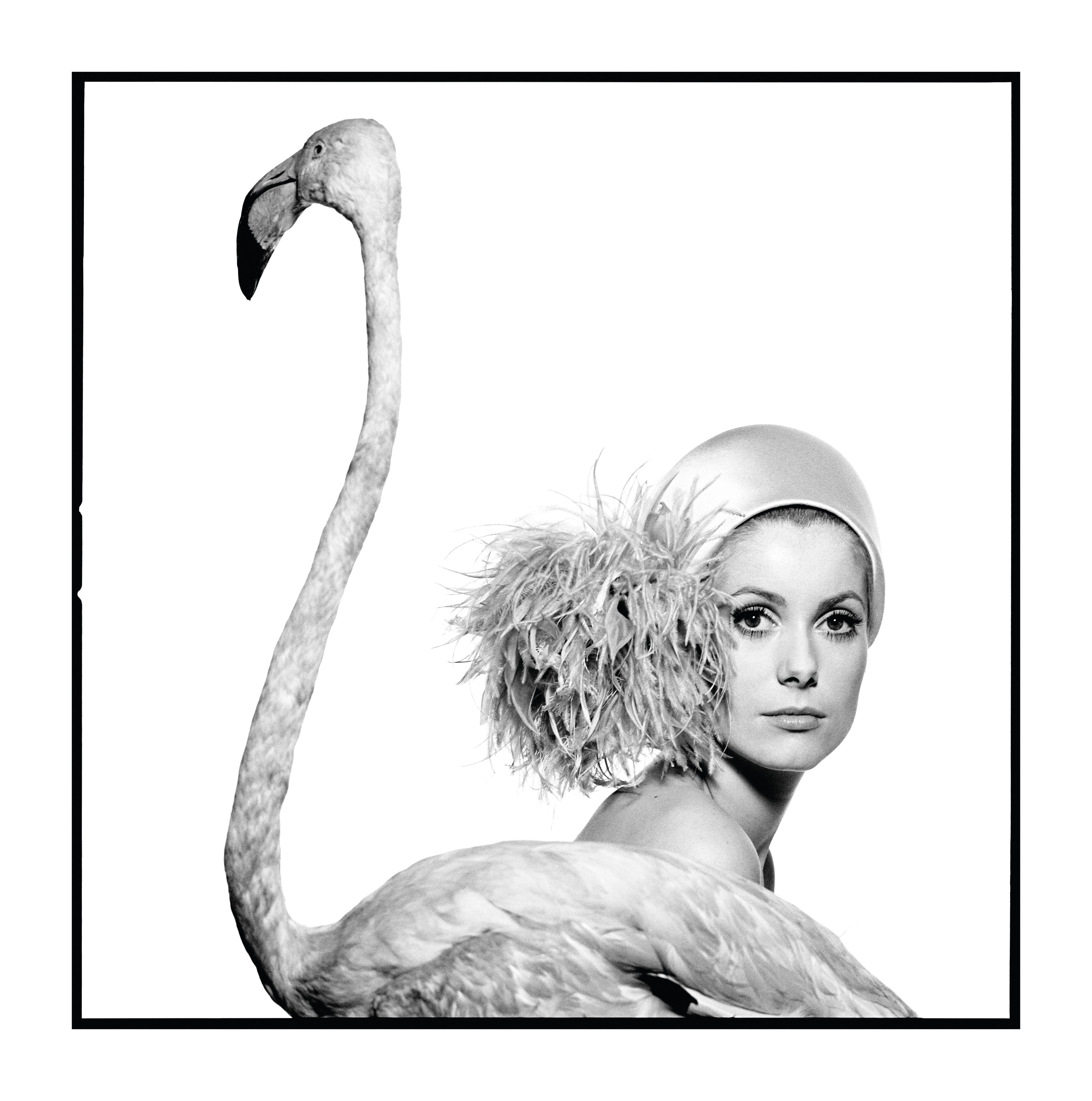 Christies deneuve outlet